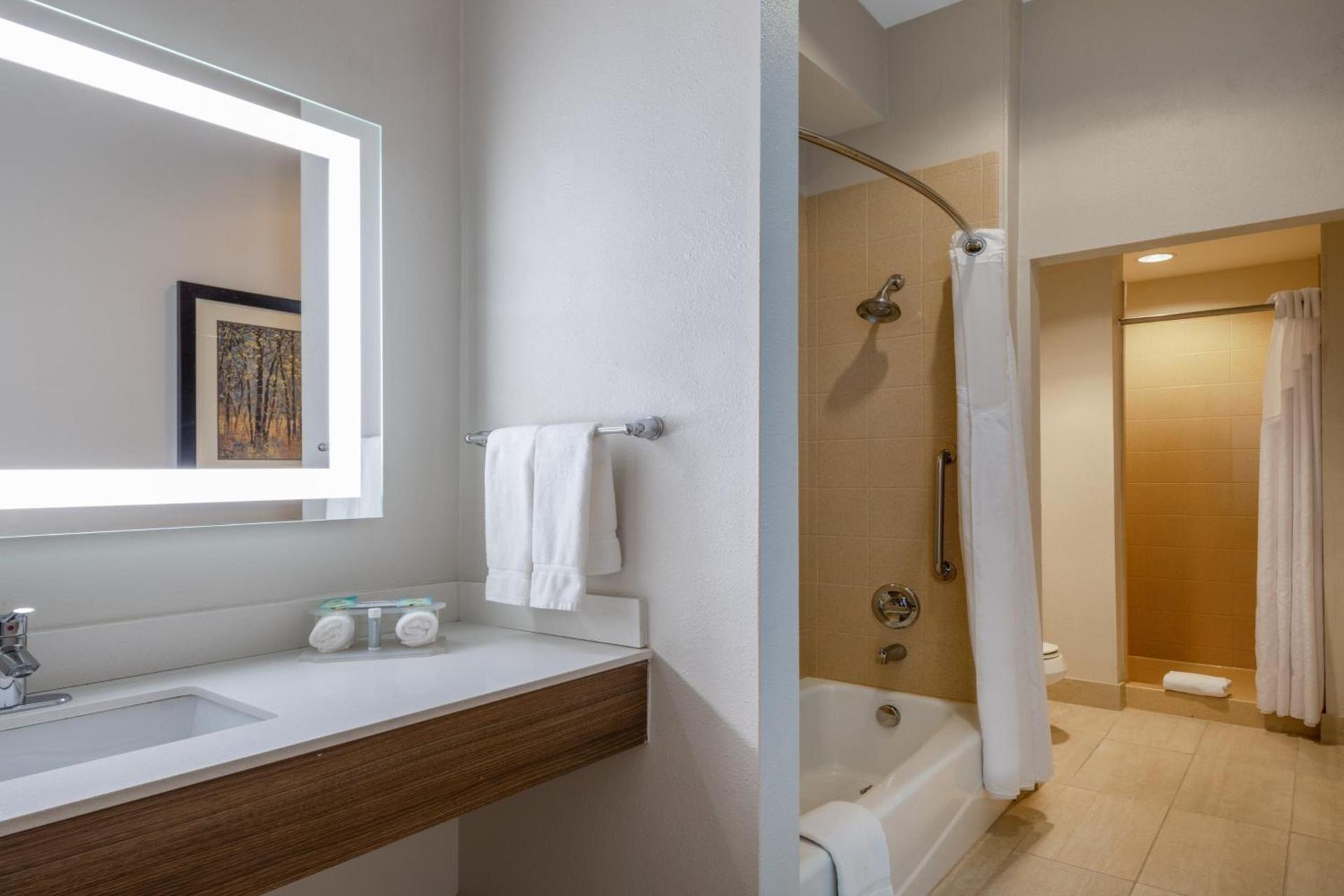 Holiday Inn Express & Suites Dallas East - Fair Park by IHG photo 10