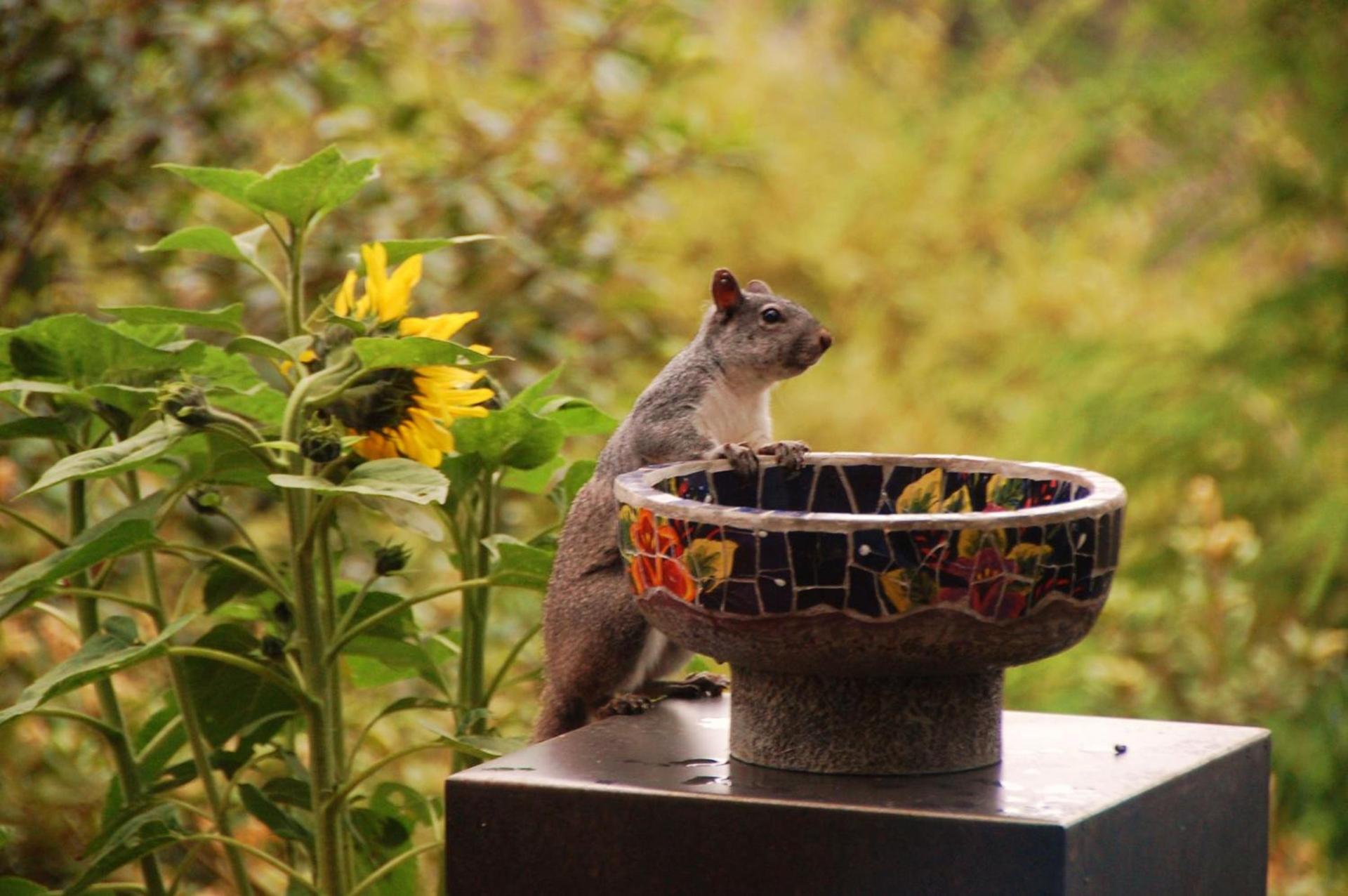 Brewery Gulch Inn & Spa photo 17