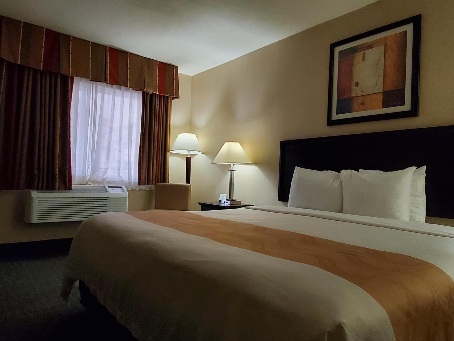 Quality Inn & Suites Anaheim at the Park photo 26