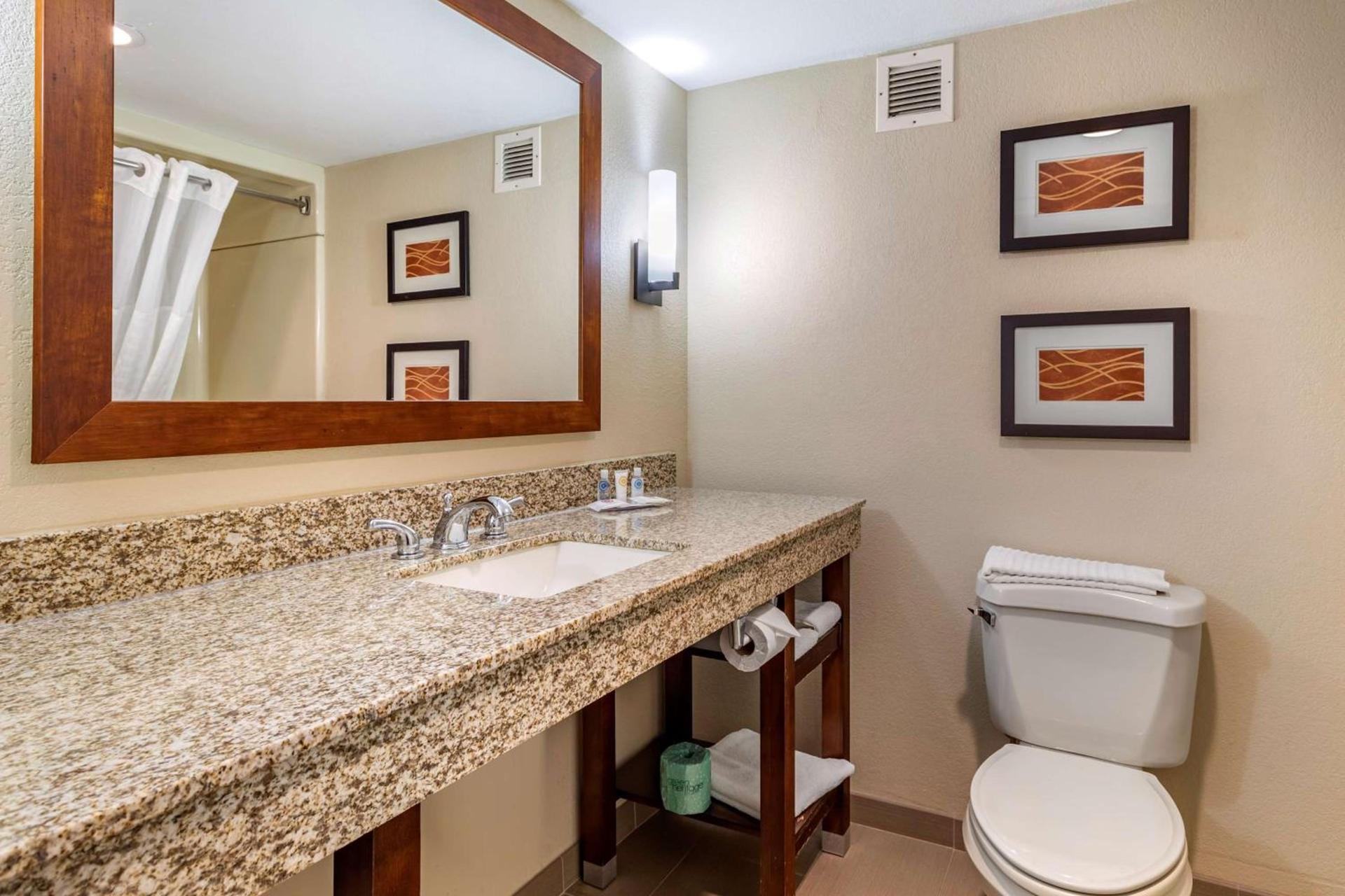 Comfort Inn Biltmore West photo 13