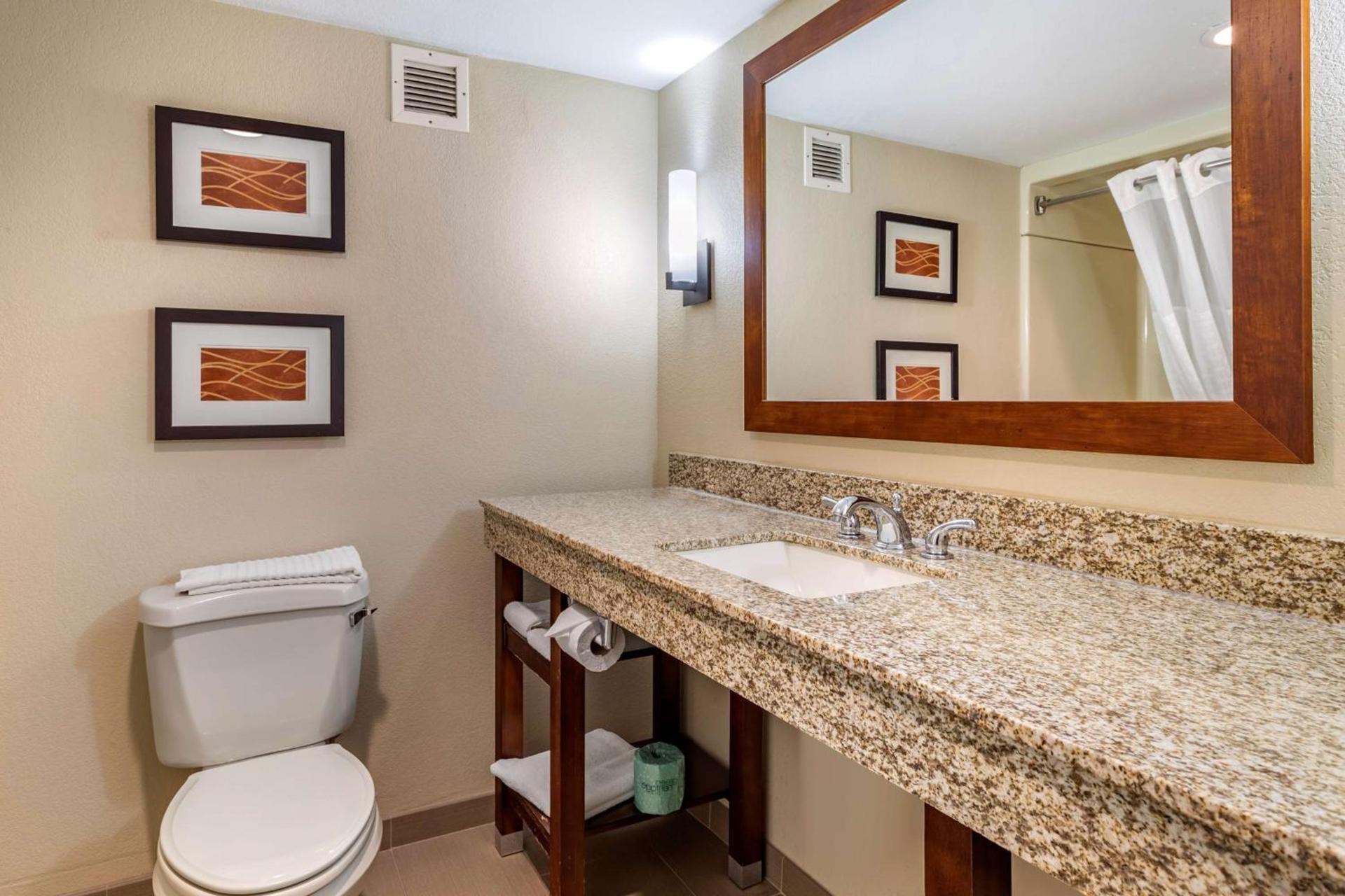 Comfort Inn Biltmore West photo 21