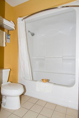 Microtel Inn & Suites by Wyndham Amarillo photo 29