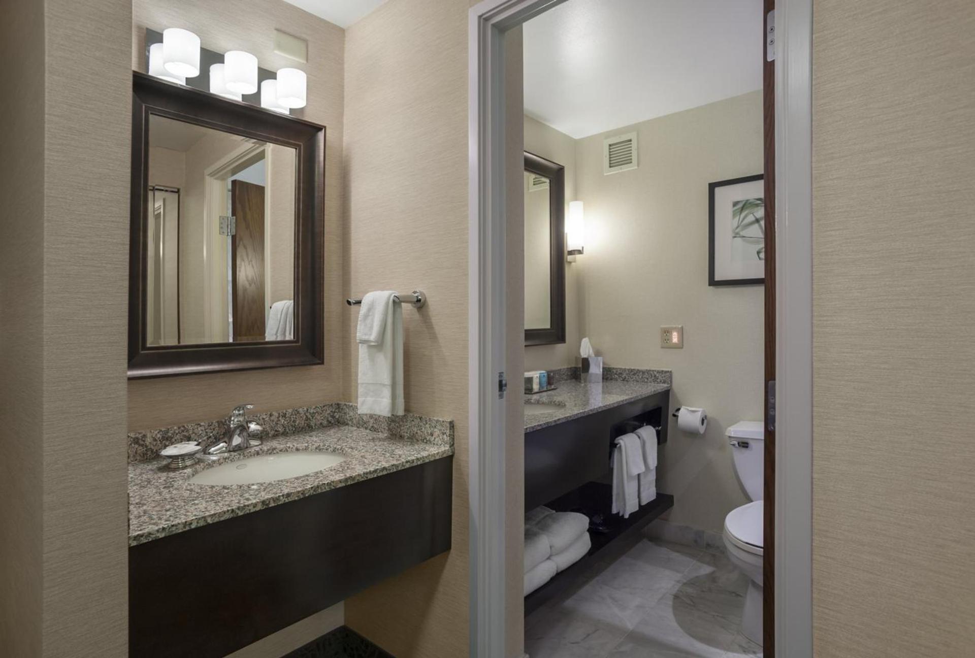 Crowne Plaza Lansing by IHG photo 55