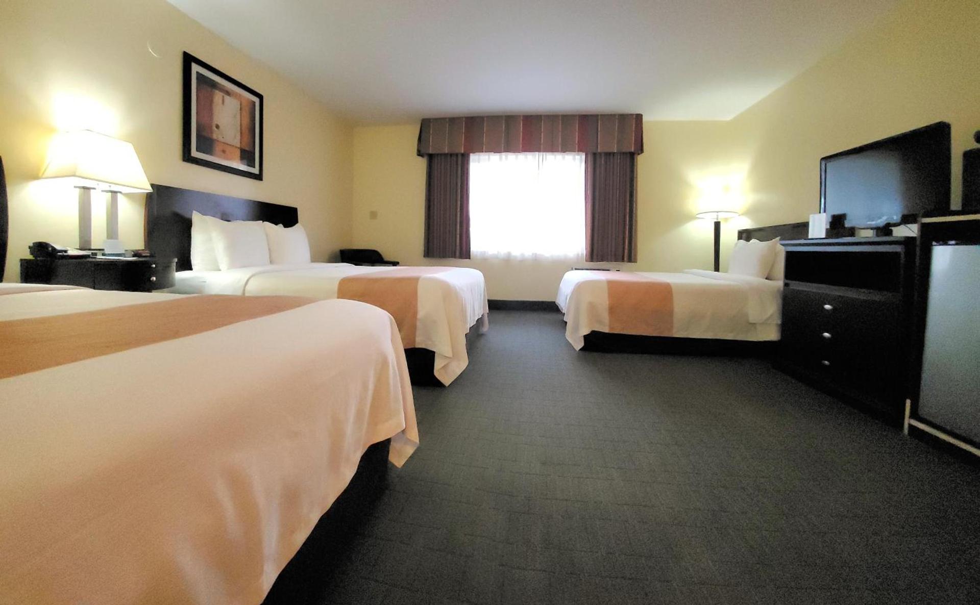 Quality Inn & Suites Anaheim at the Park photo 31