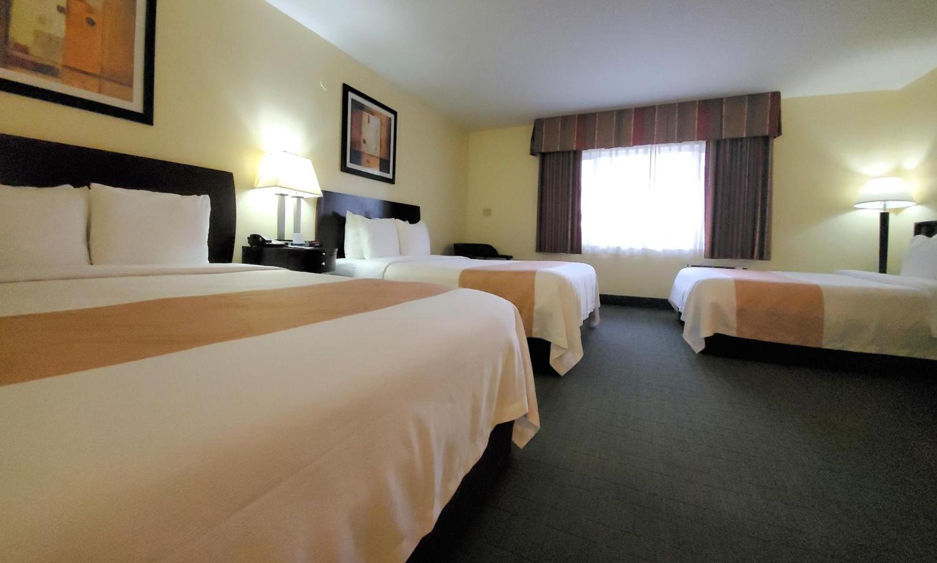 Quality Inn & Suites Anaheim at the Park photo 30
