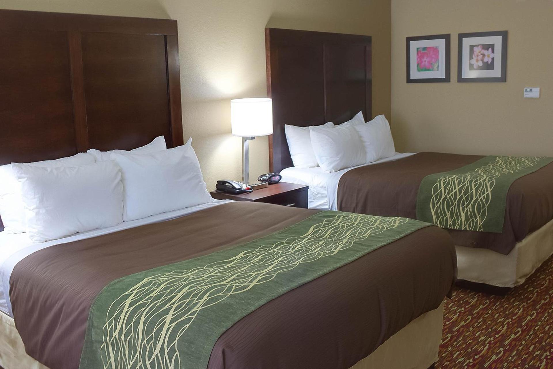 Comfort Inn & Suites Artesia photo 27