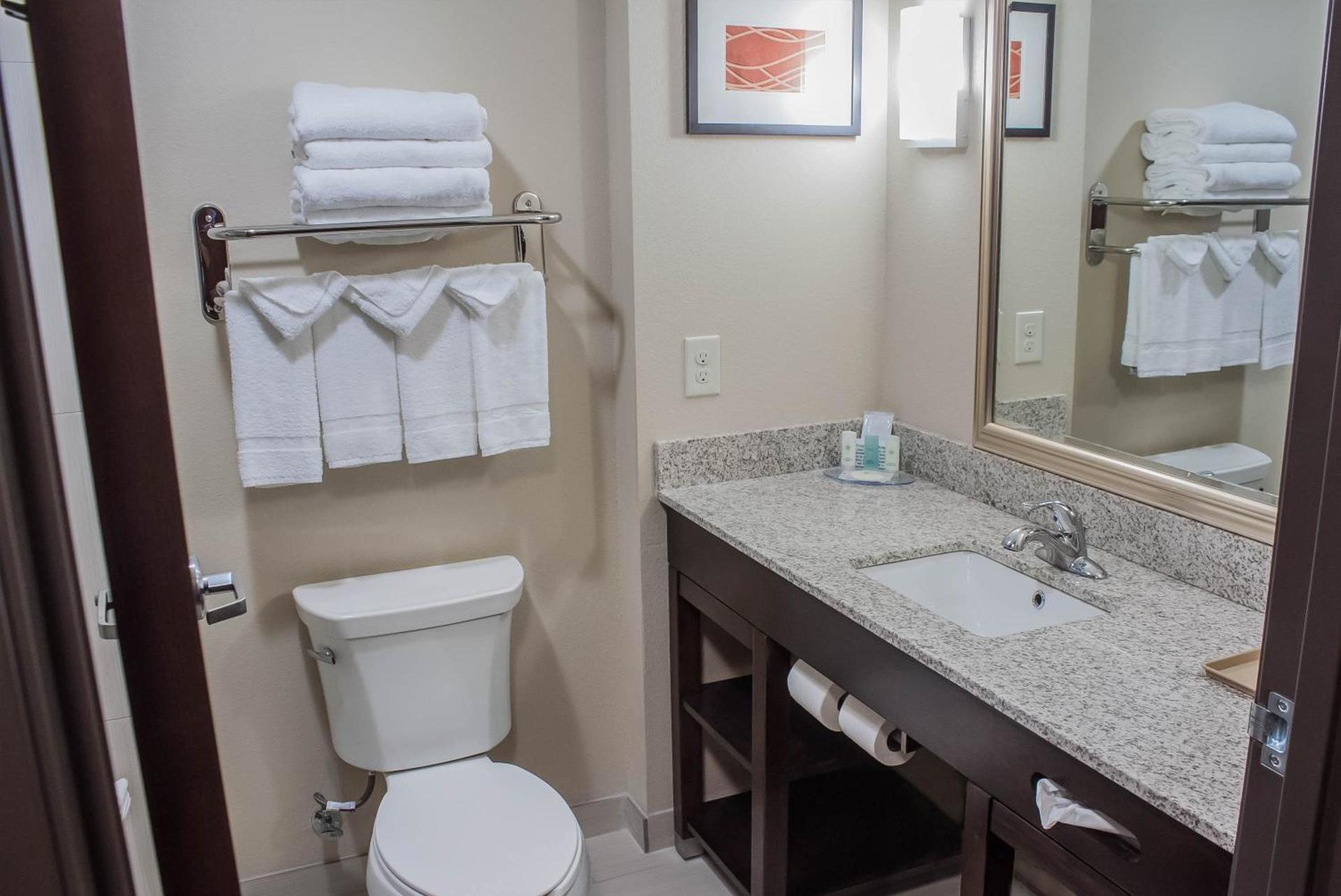 Comfort Inn & Suites Artesia photo 57