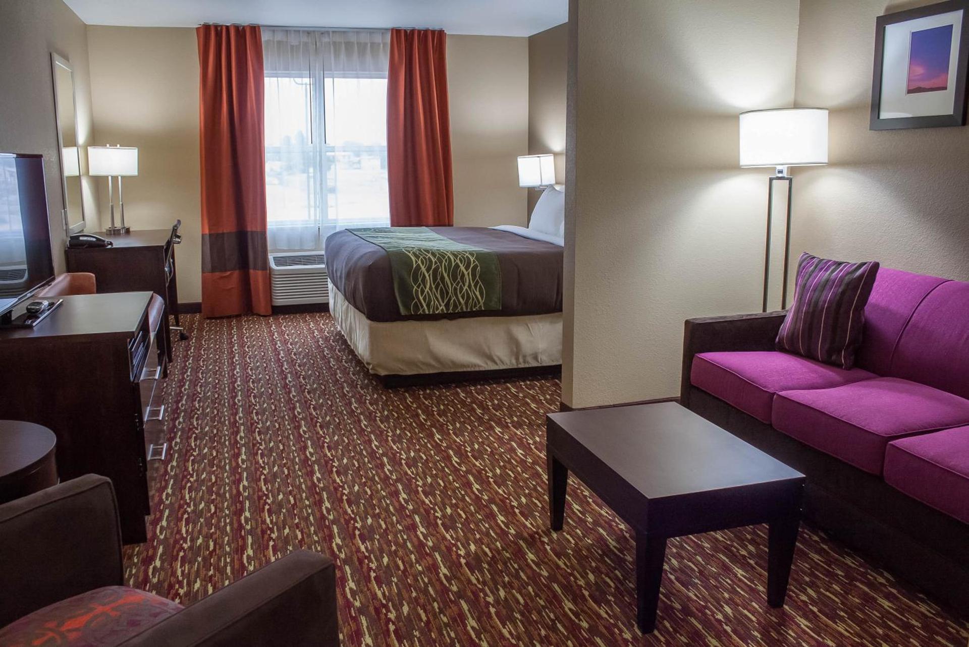 Comfort Inn & Suites Artesia photo 23