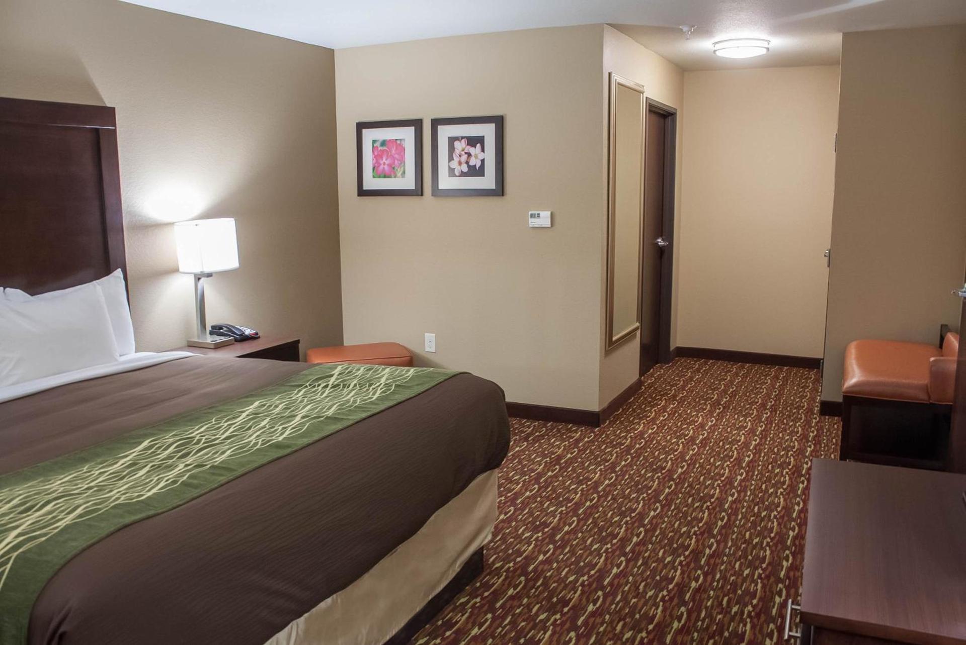 Comfort Inn & Suites Artesia photo 39