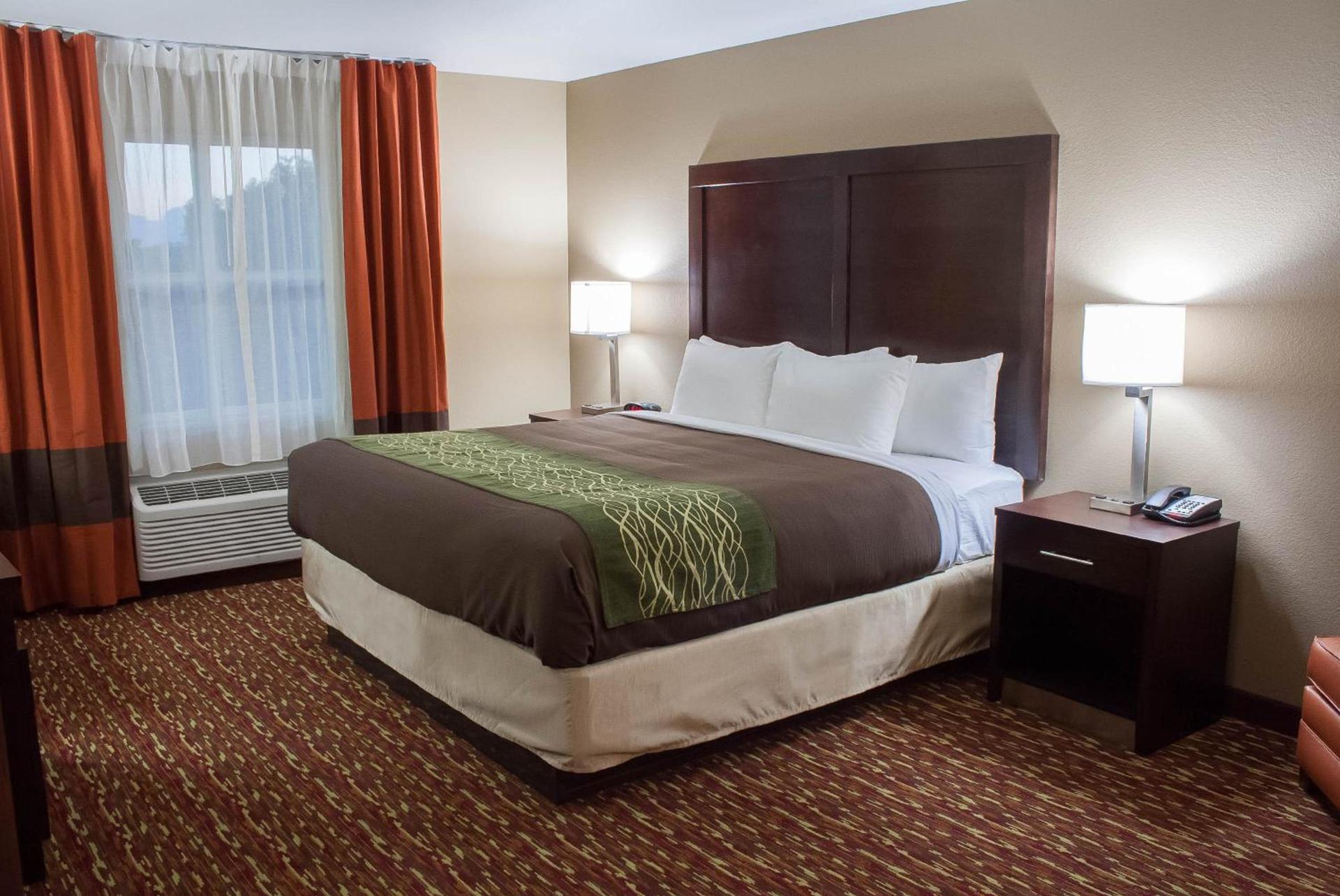 Comfort Inn & Suites Artesia photo 33