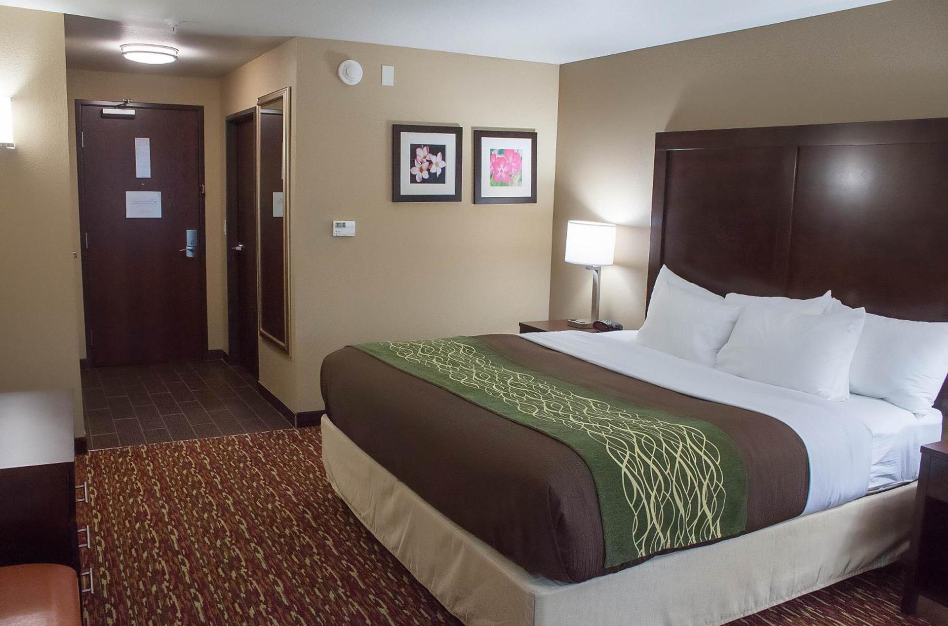 Comfort Inn & Suites Artesia photo 38