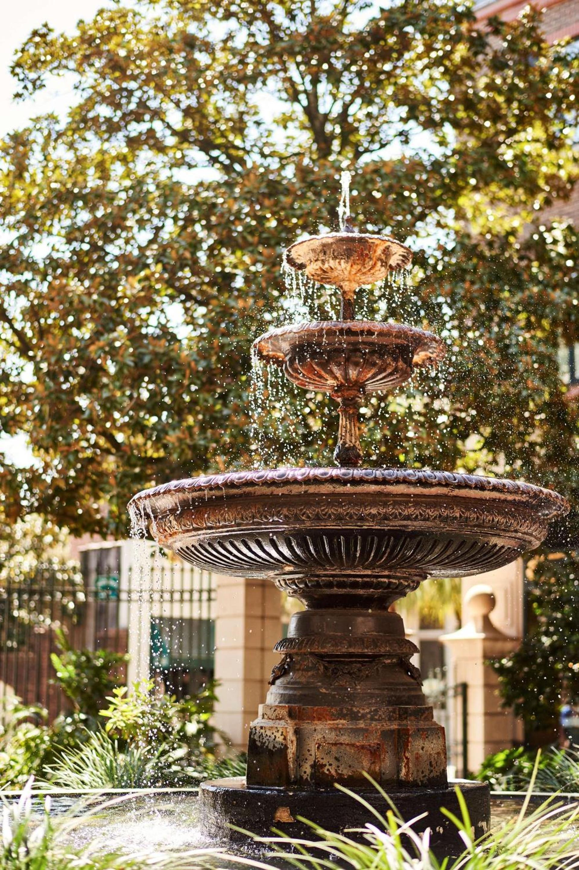 The Charleston Place photo 4