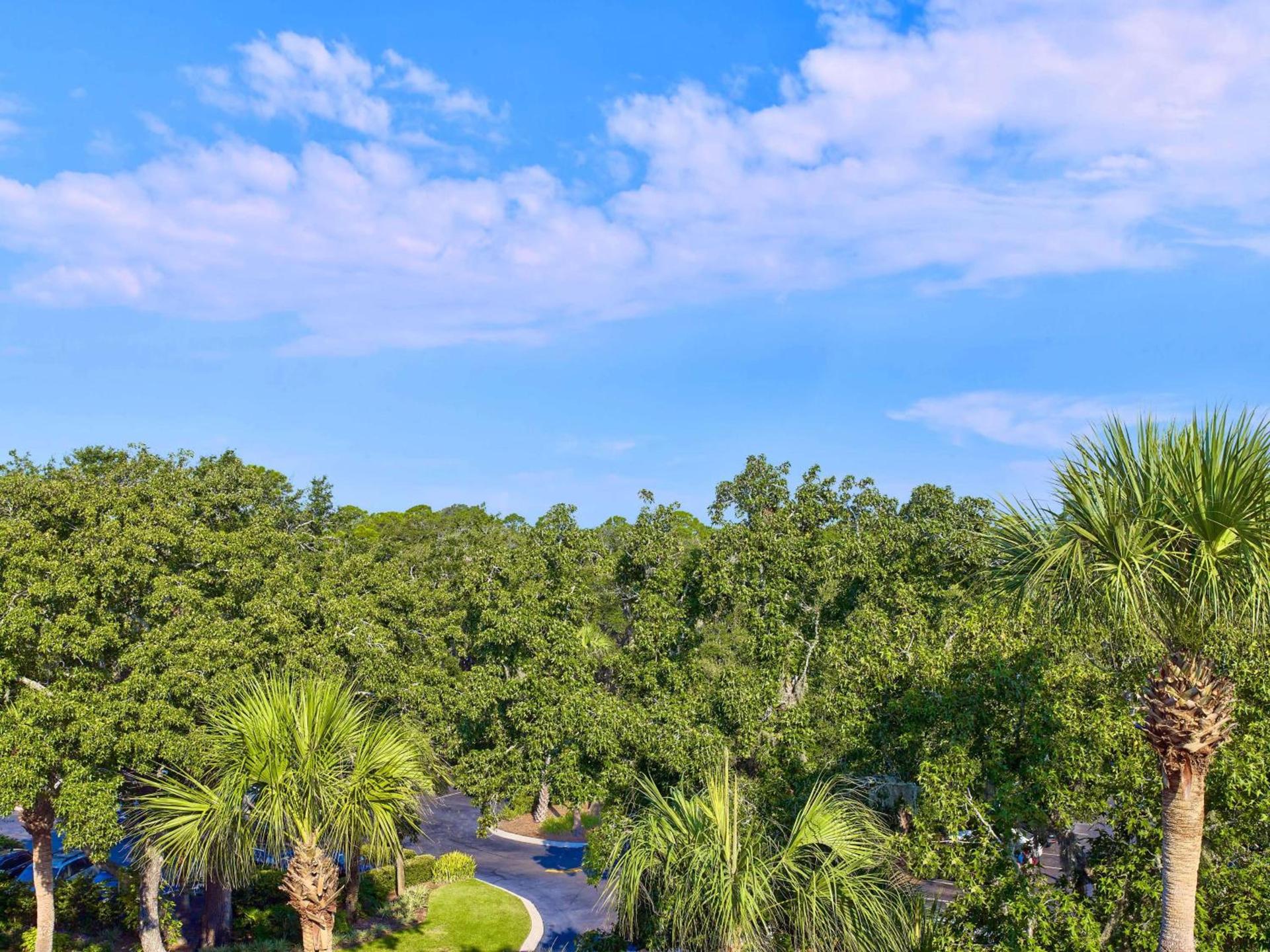 Sonesta Resort Hilton Head Island photo 19