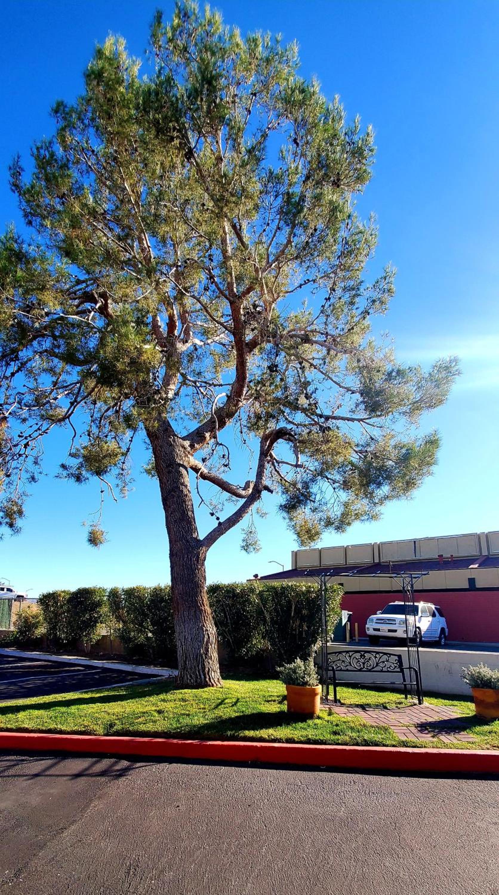 Motel 6-Palmdale, CA photo 29