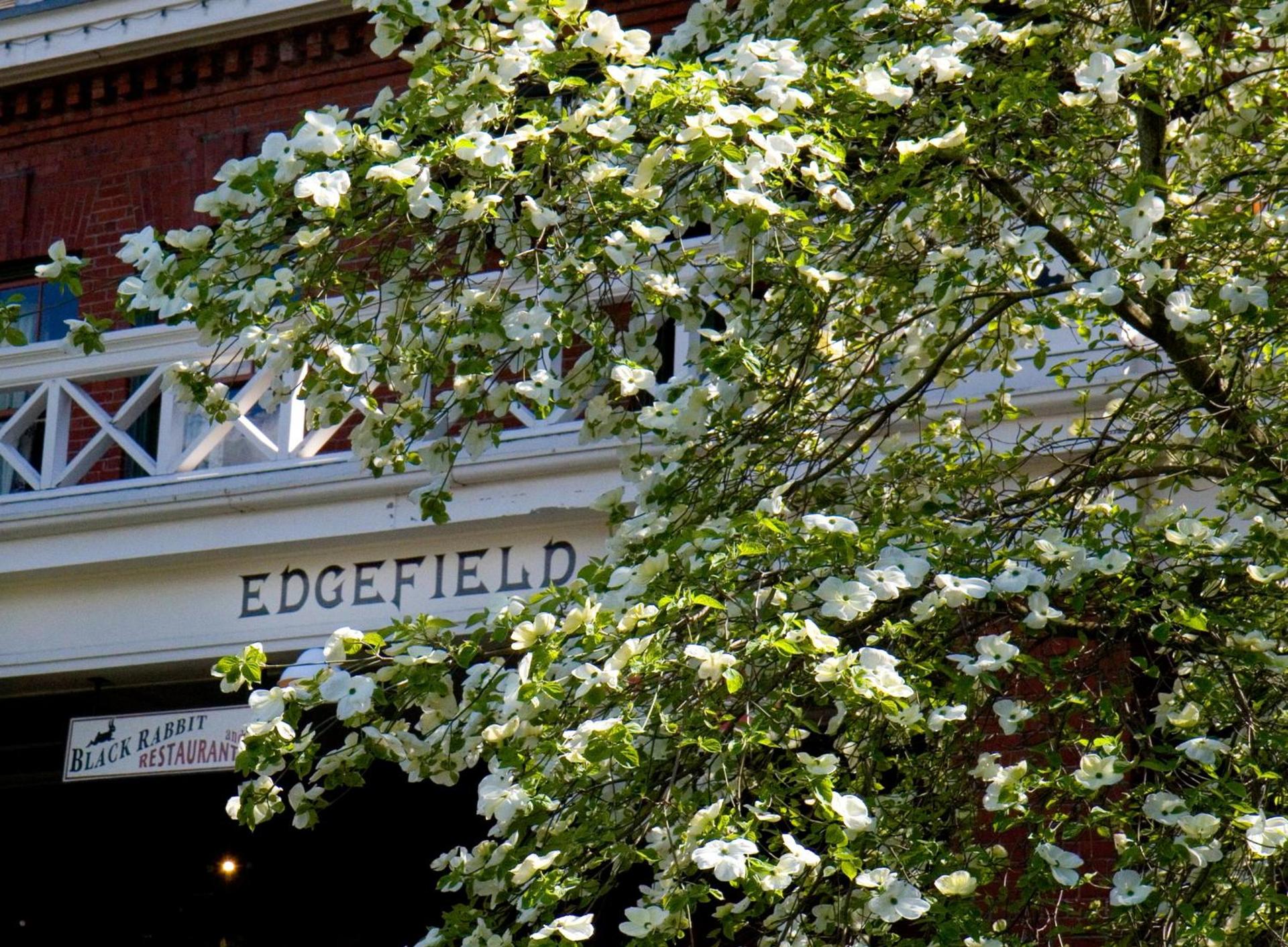 McMenamins Edgefield photo 15