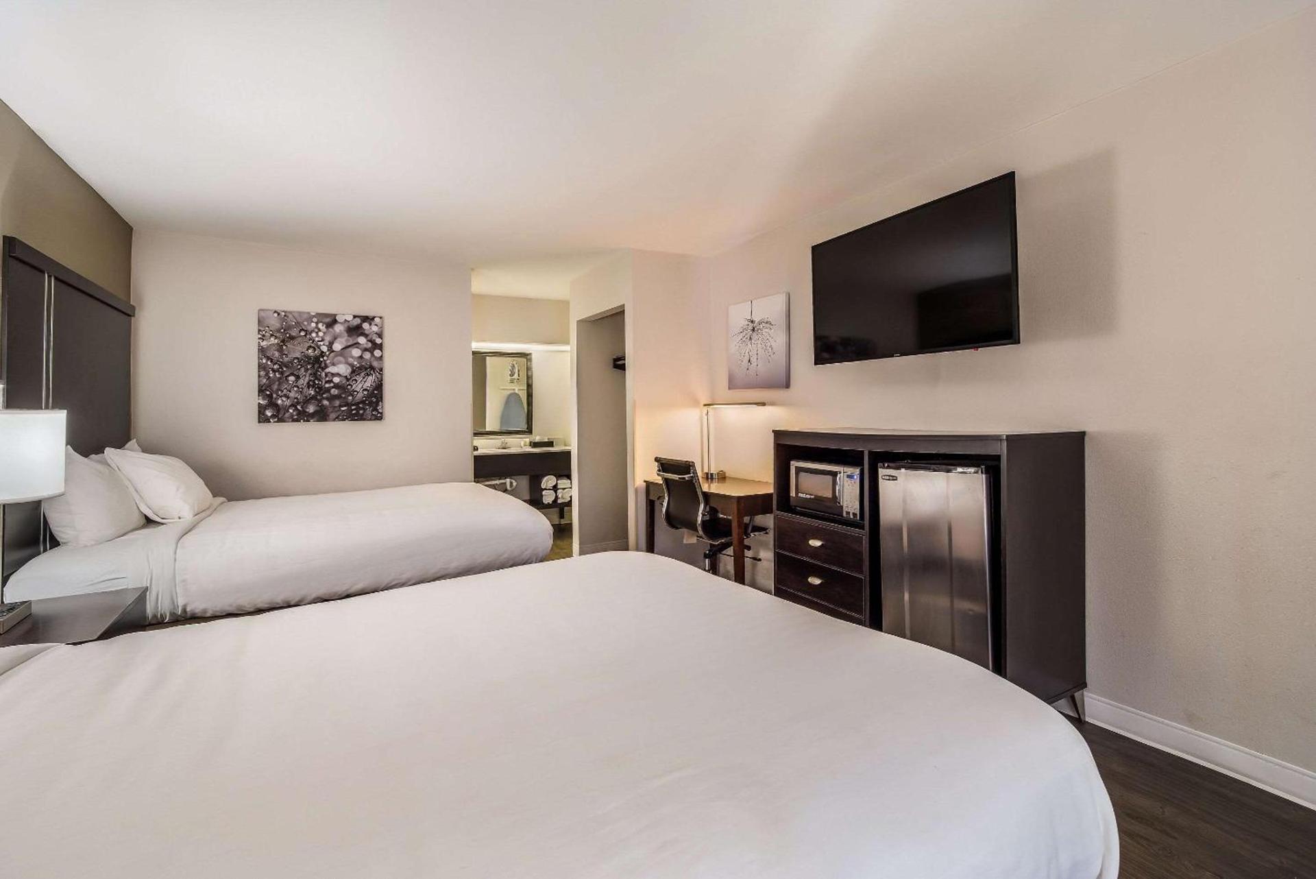 Clarion Inn & Suites Florence - Darlington photo 19