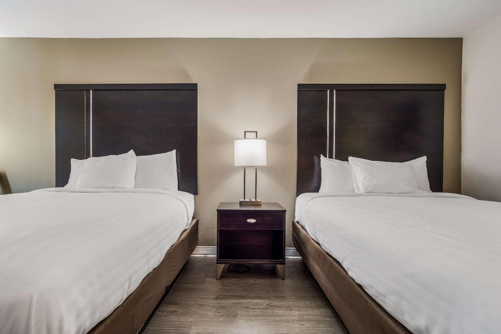 Clarion Inn & Suites Florence - Darlington photo 21