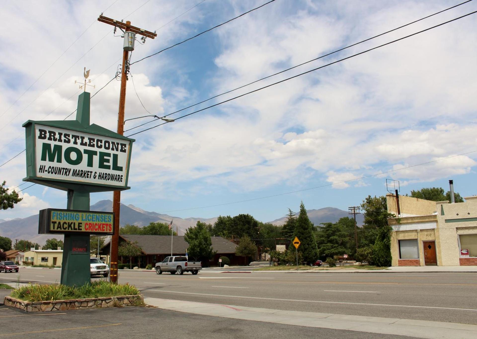 Bristlecone Motel photo 1