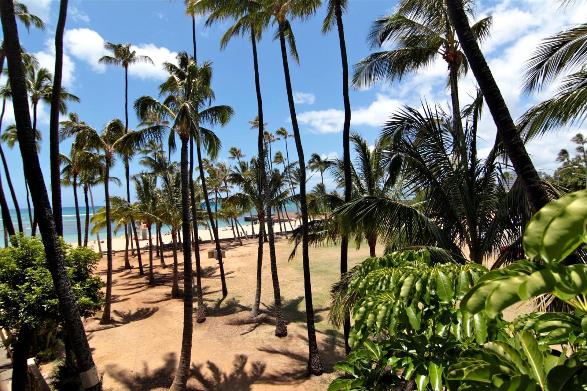 Kaimana Beach Hotel photo 29
