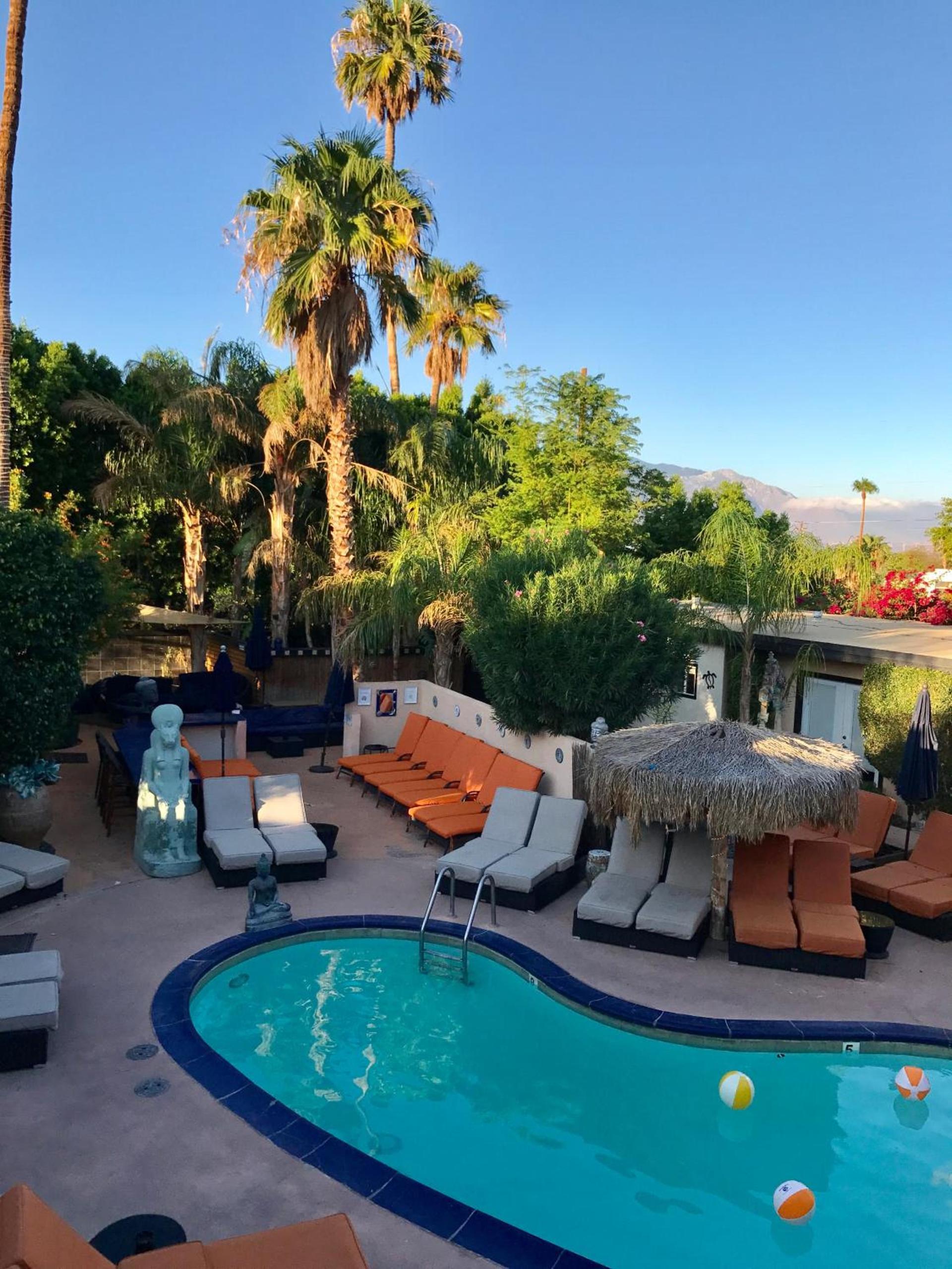 Sea Mountain Nude Resort & Spa Hotel - Adults Only photo 10