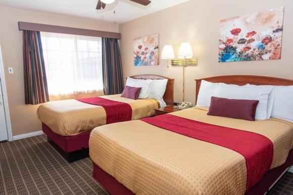 Esquire Inn photo 28