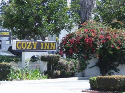 Cozy Inn photo 81