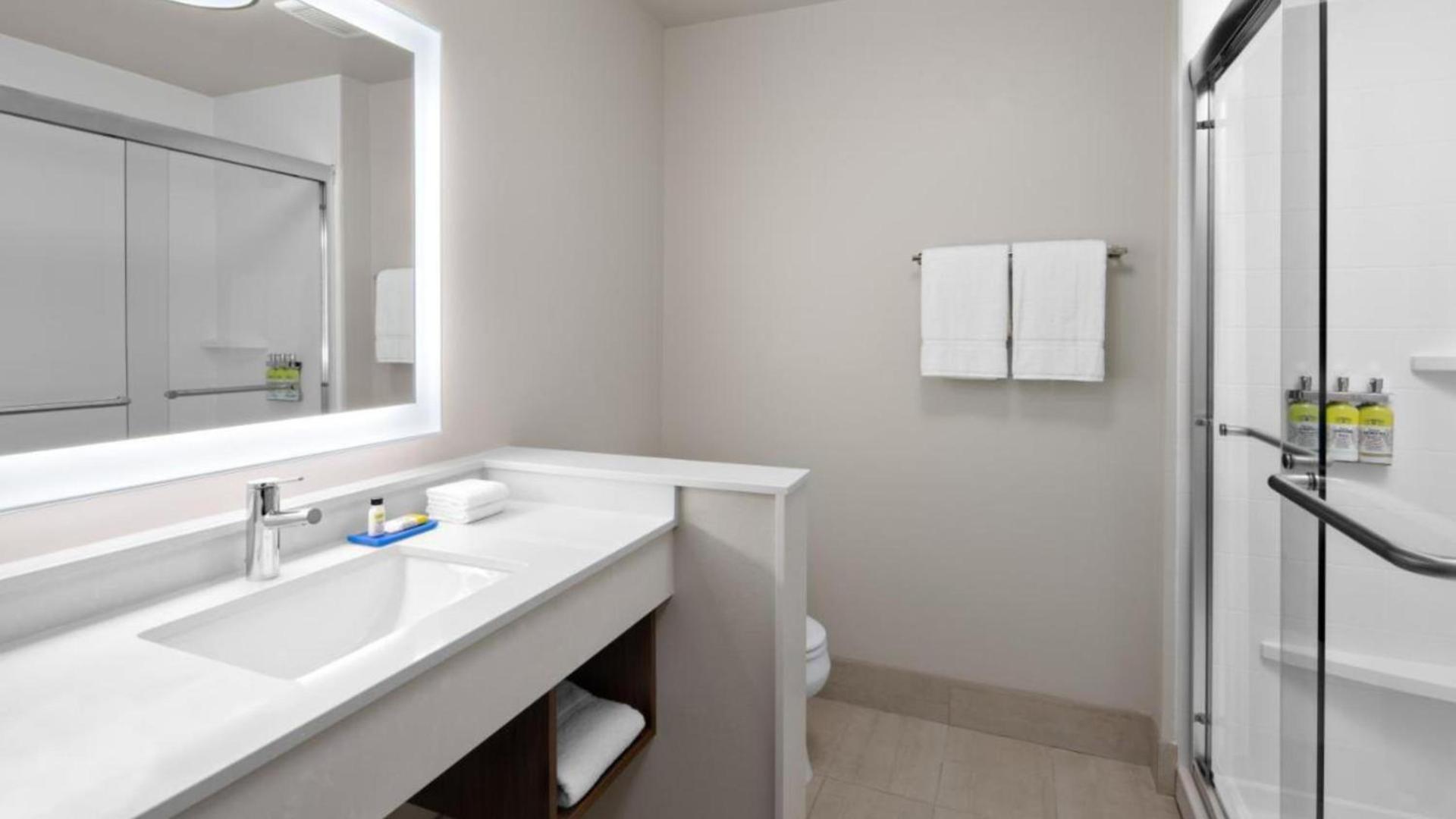 Holiday Inn Express & Suites - Nashville MetroCenter Downtown by IHG photo 29