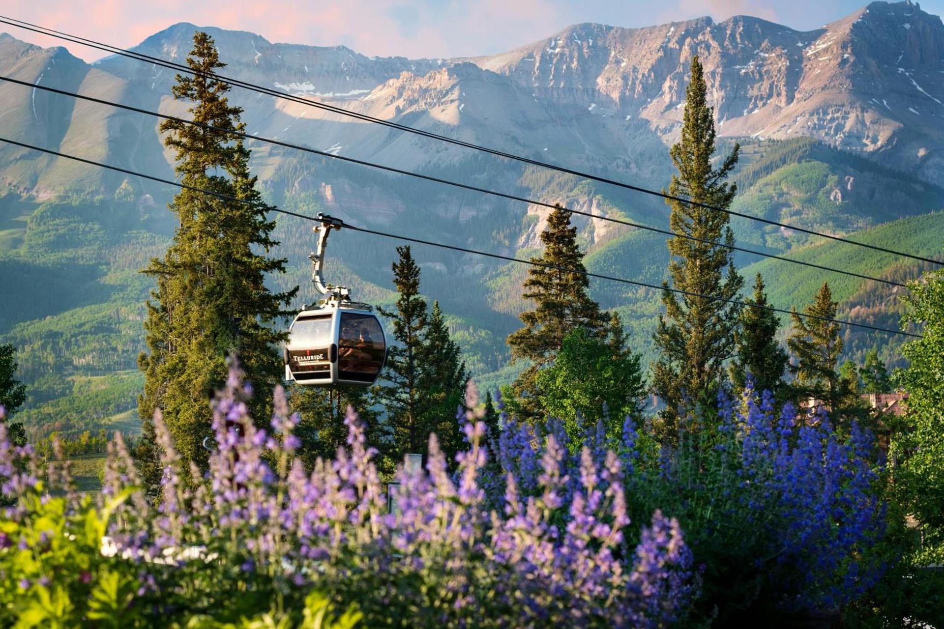 Mountain Lodge Telluride photo 33