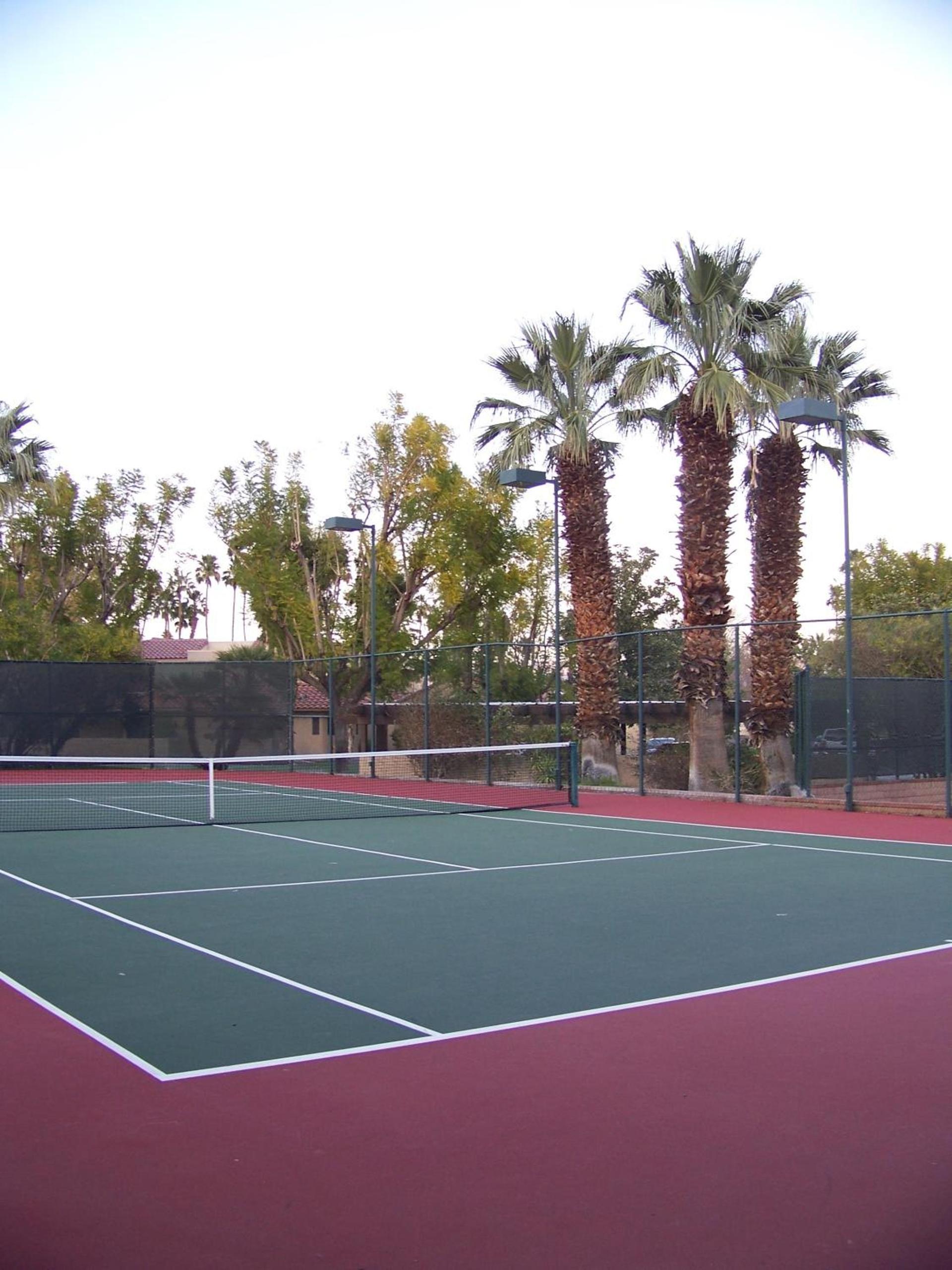 The Oasis Resort photo 45