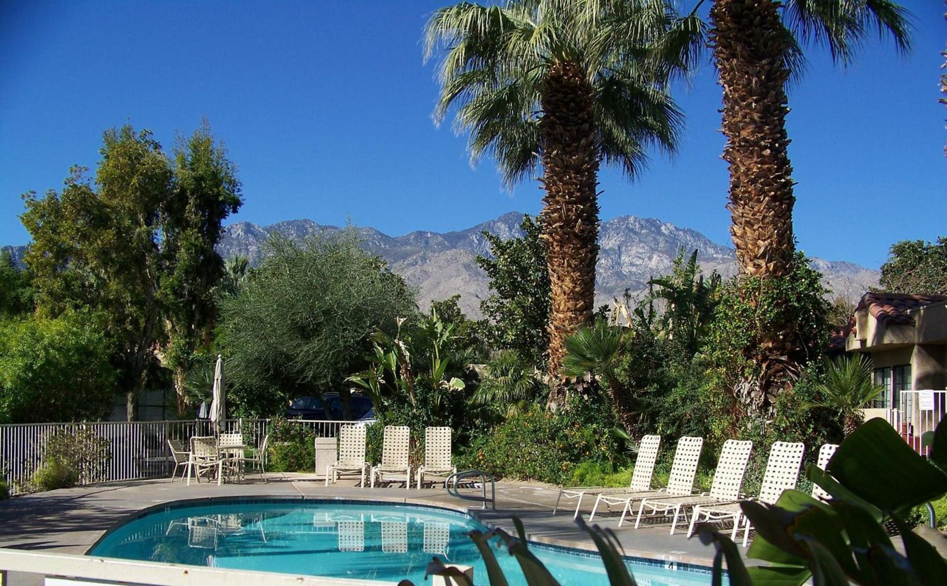 The Oasis Resort photo 42