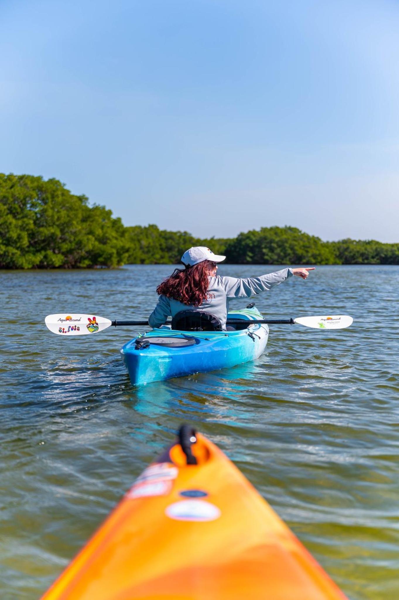 Candlewood Suites - Safety Harbor by IHG photo 11