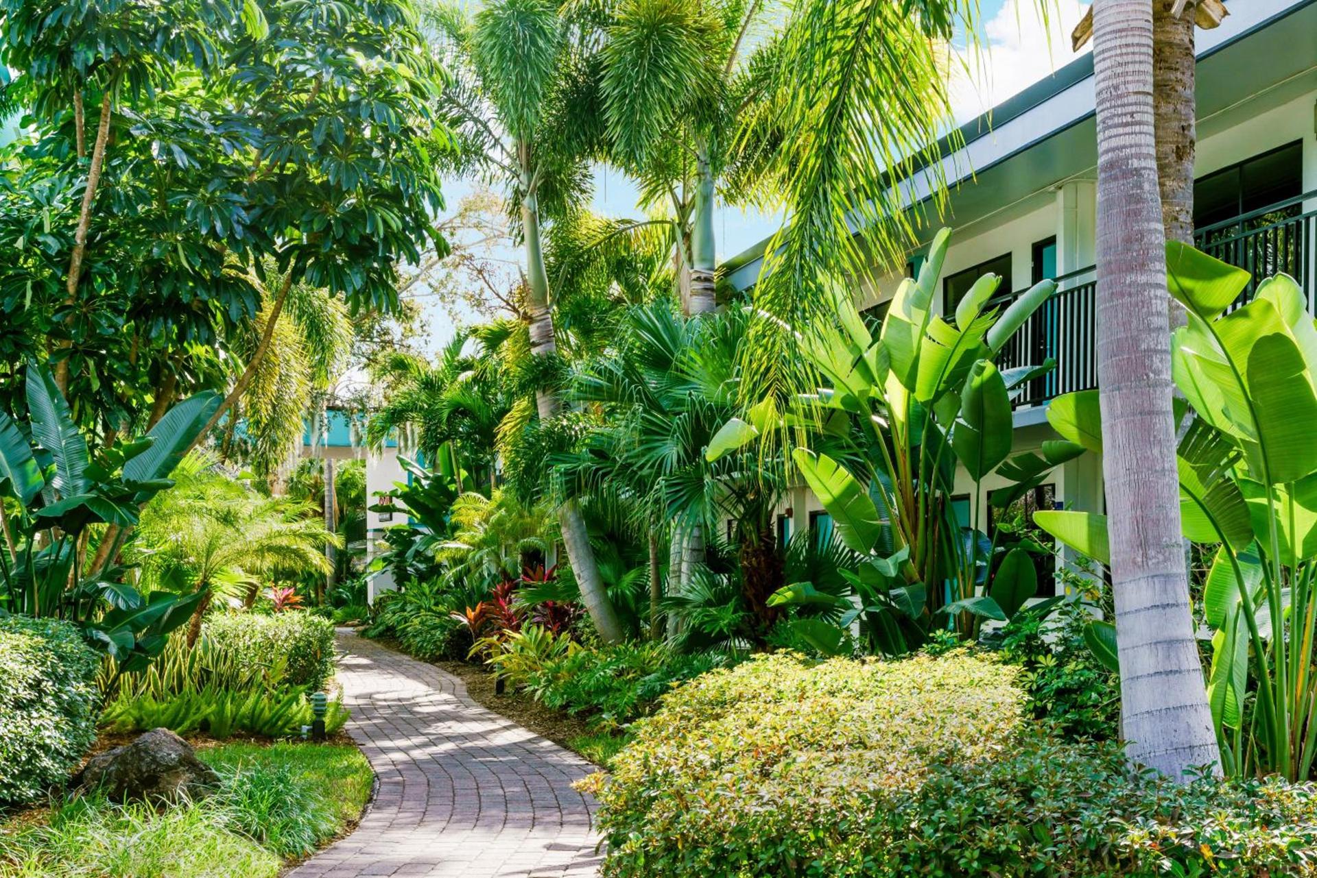 Coco Key Hotel & Water Park Resort photo 56