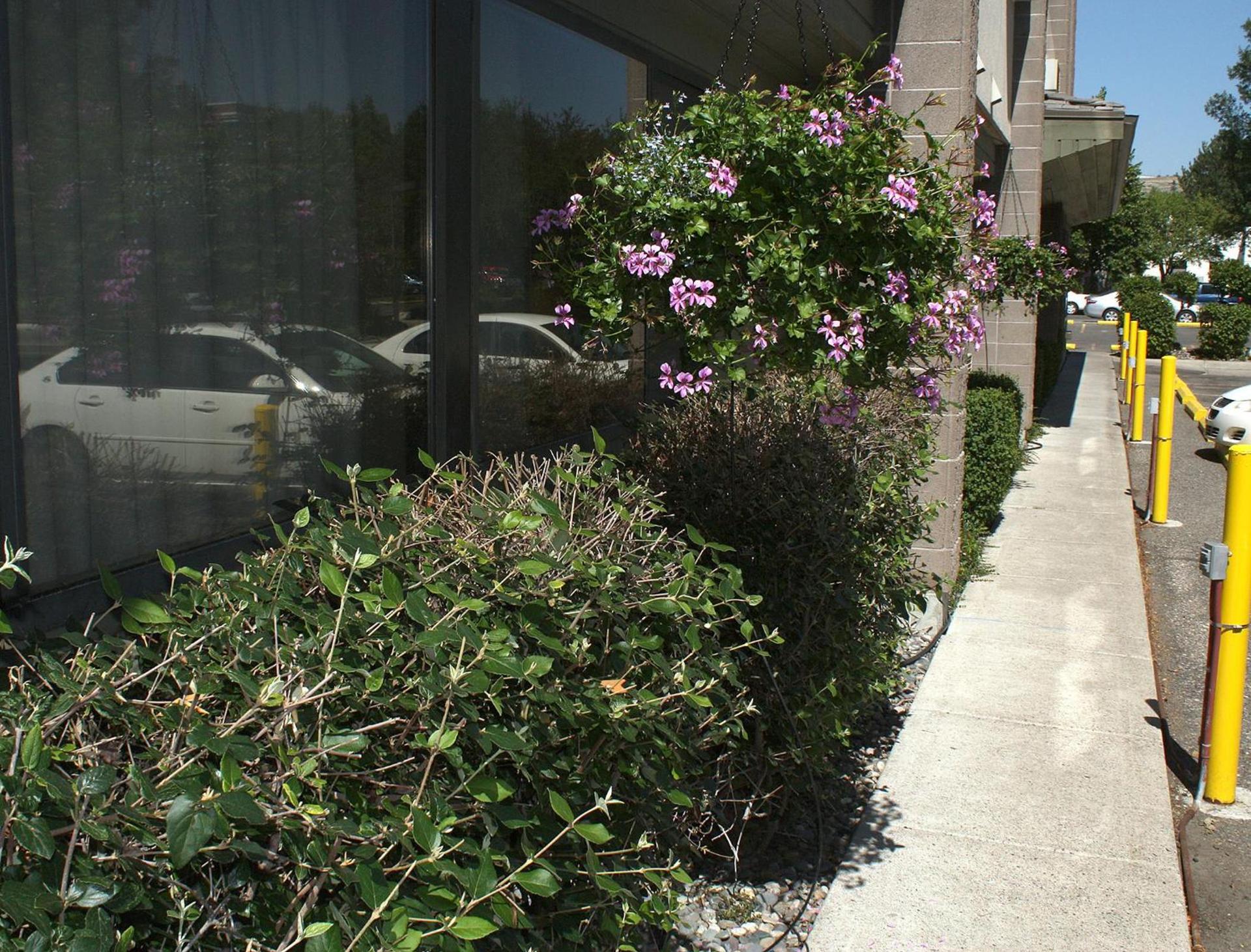 Riversage Billings Inn photo 16