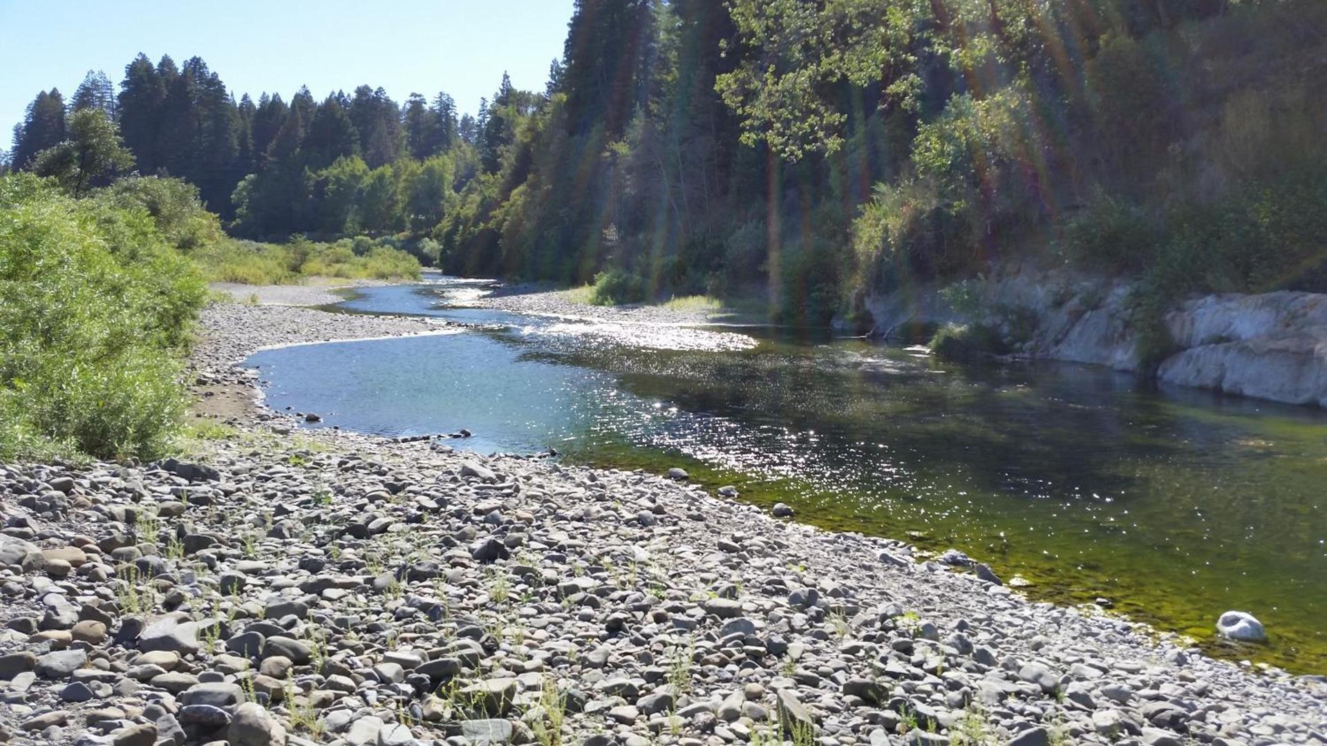 Dean Creek Resort photo 19
