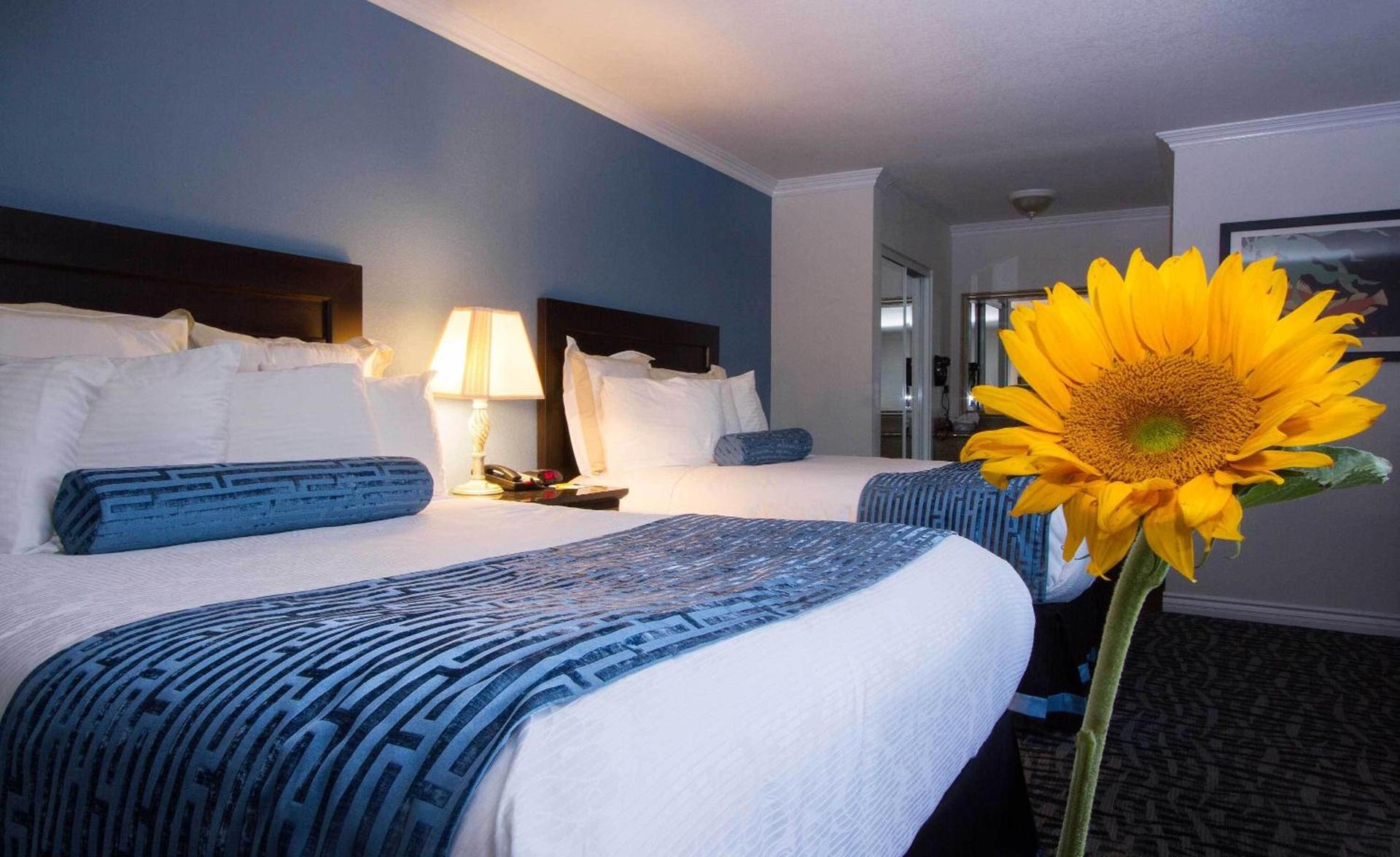 Regency Inn in Los Angeles photo 4