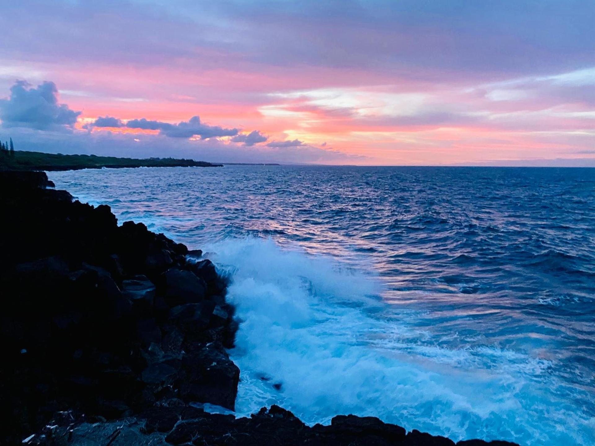 Wild Blue Water photo 52
