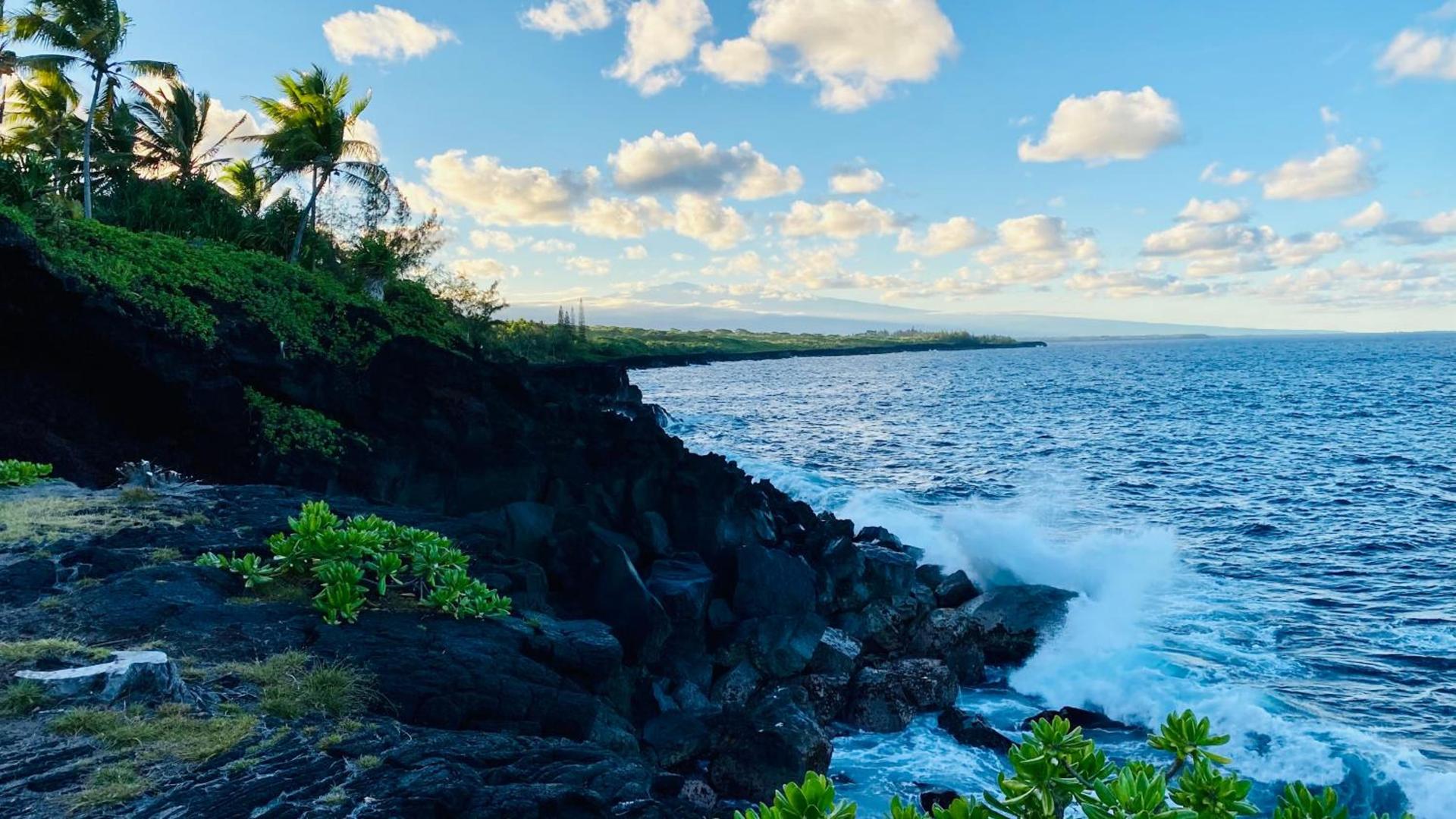 Wild Blue Water photo 59