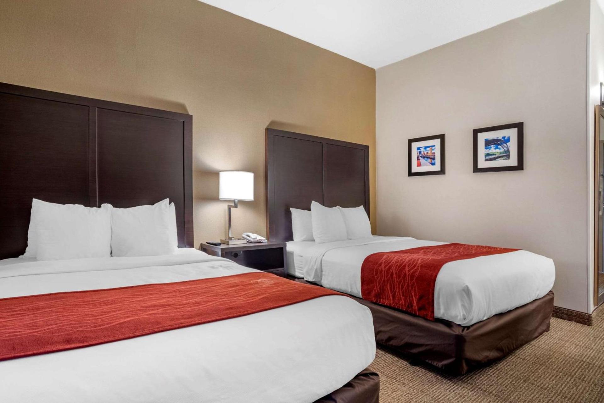 Comfort Inn photo 8