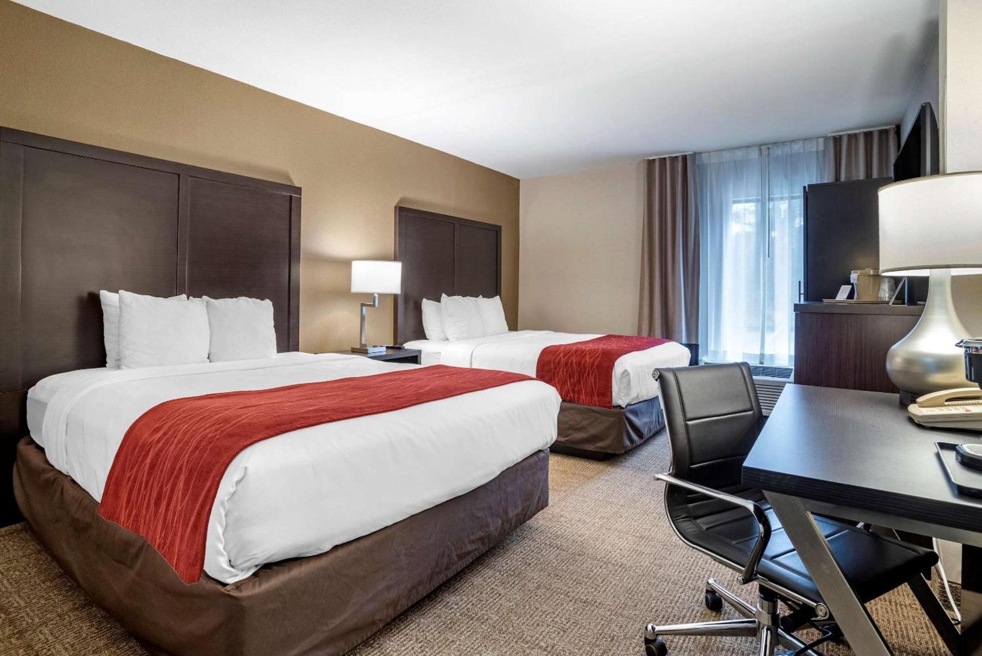Comfort Inn photo 11