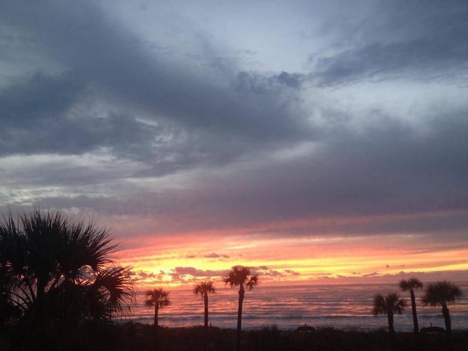 Sabal Palms Inn photo 28