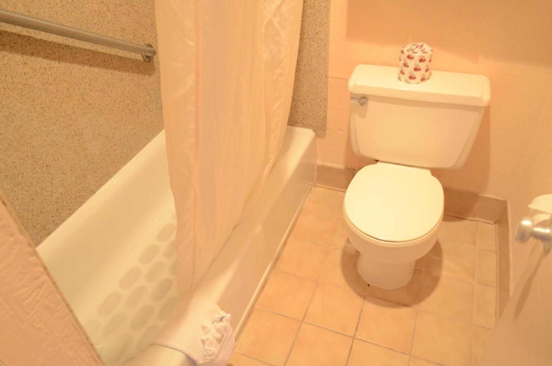 Americas Best Value Inn-Near NRG Park/Medical Center photo 57