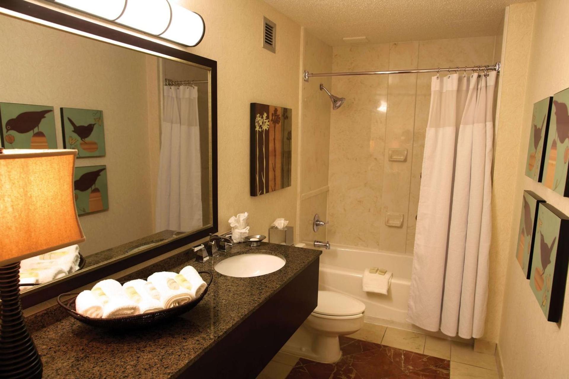 Sonesta Atlanta Airport North photo 13