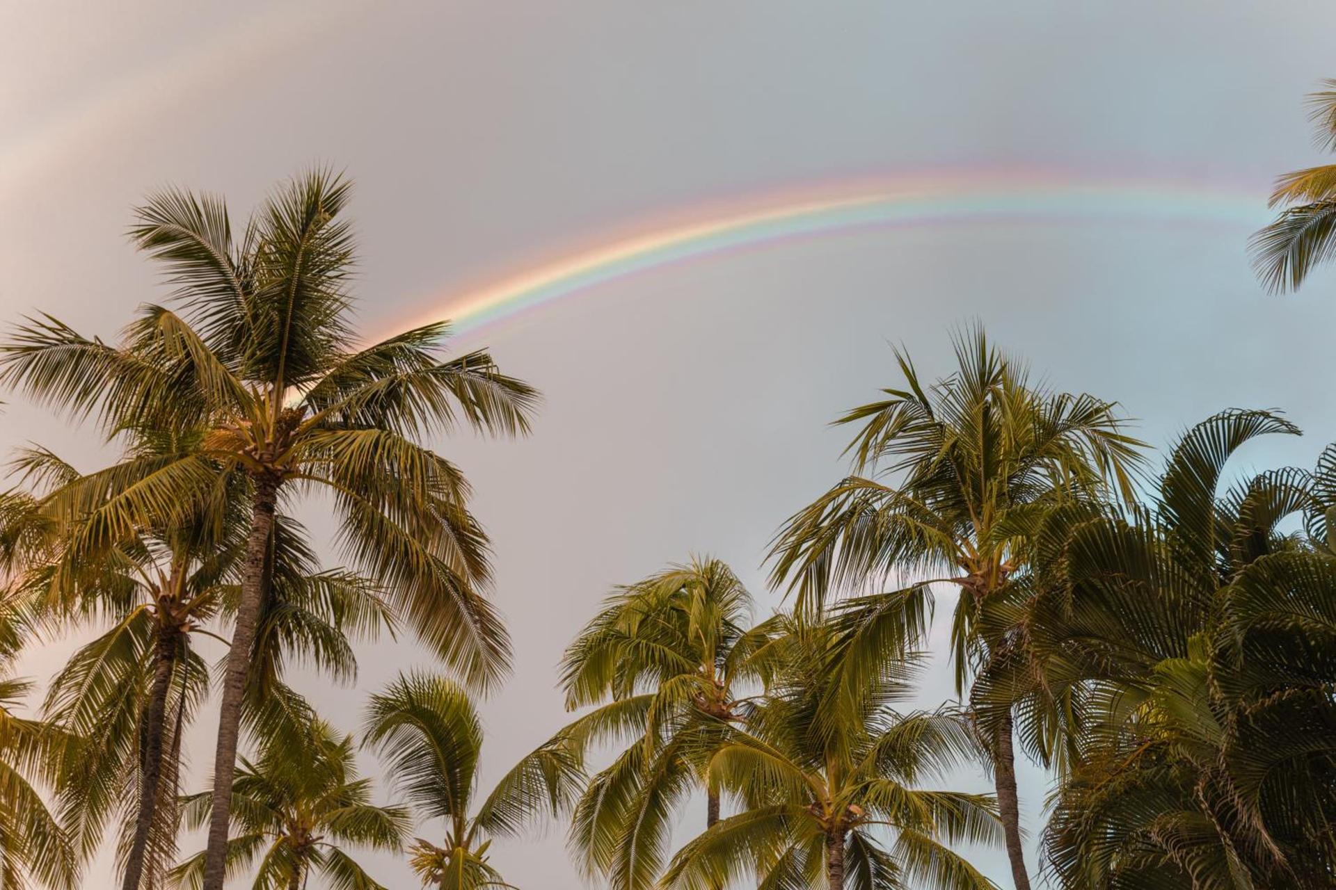Ohia Waikiki Studio Suites photo 25