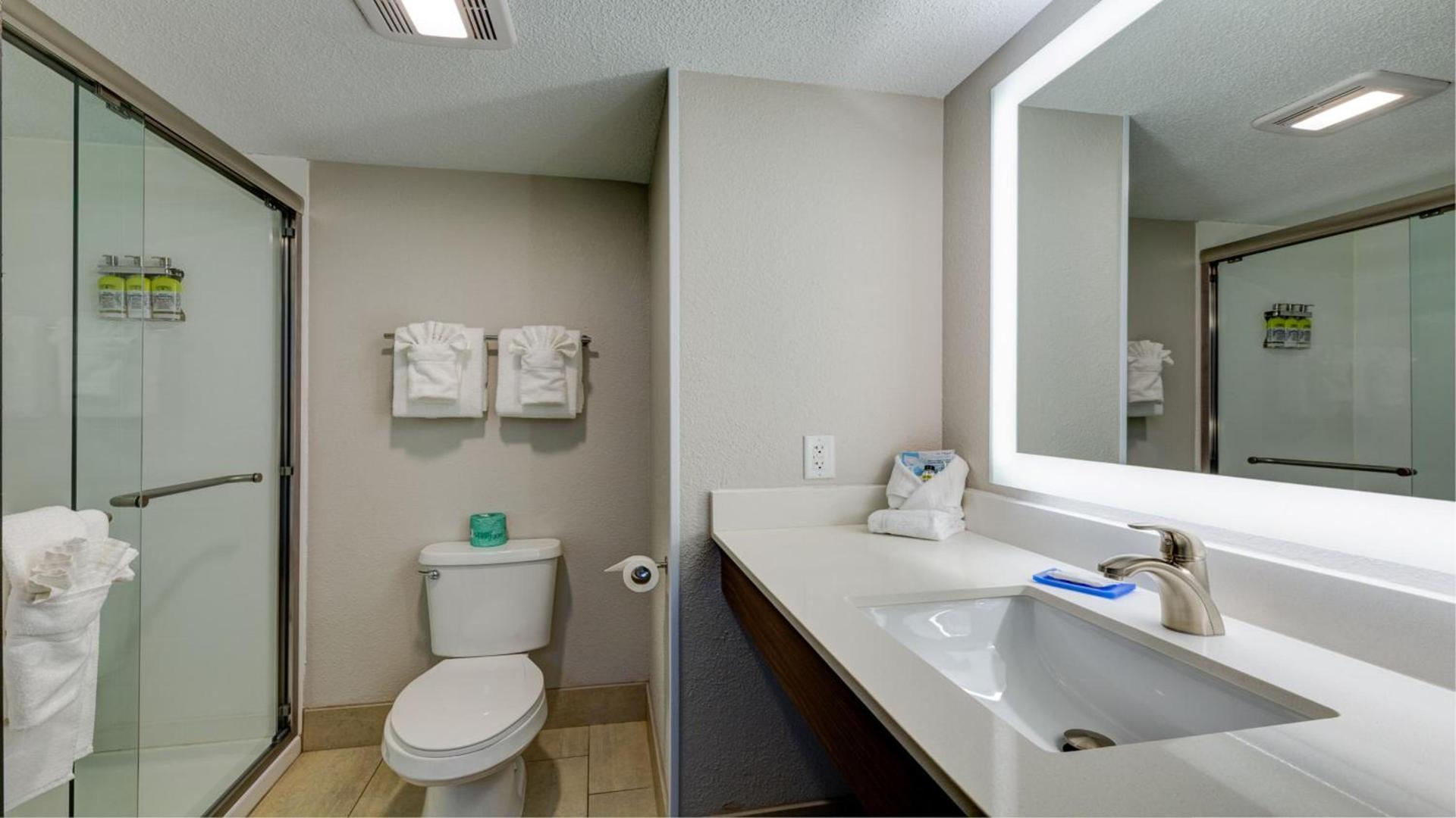 Holiday Inn Express & Suites Ashtabula-Geneva by IHG photo 10