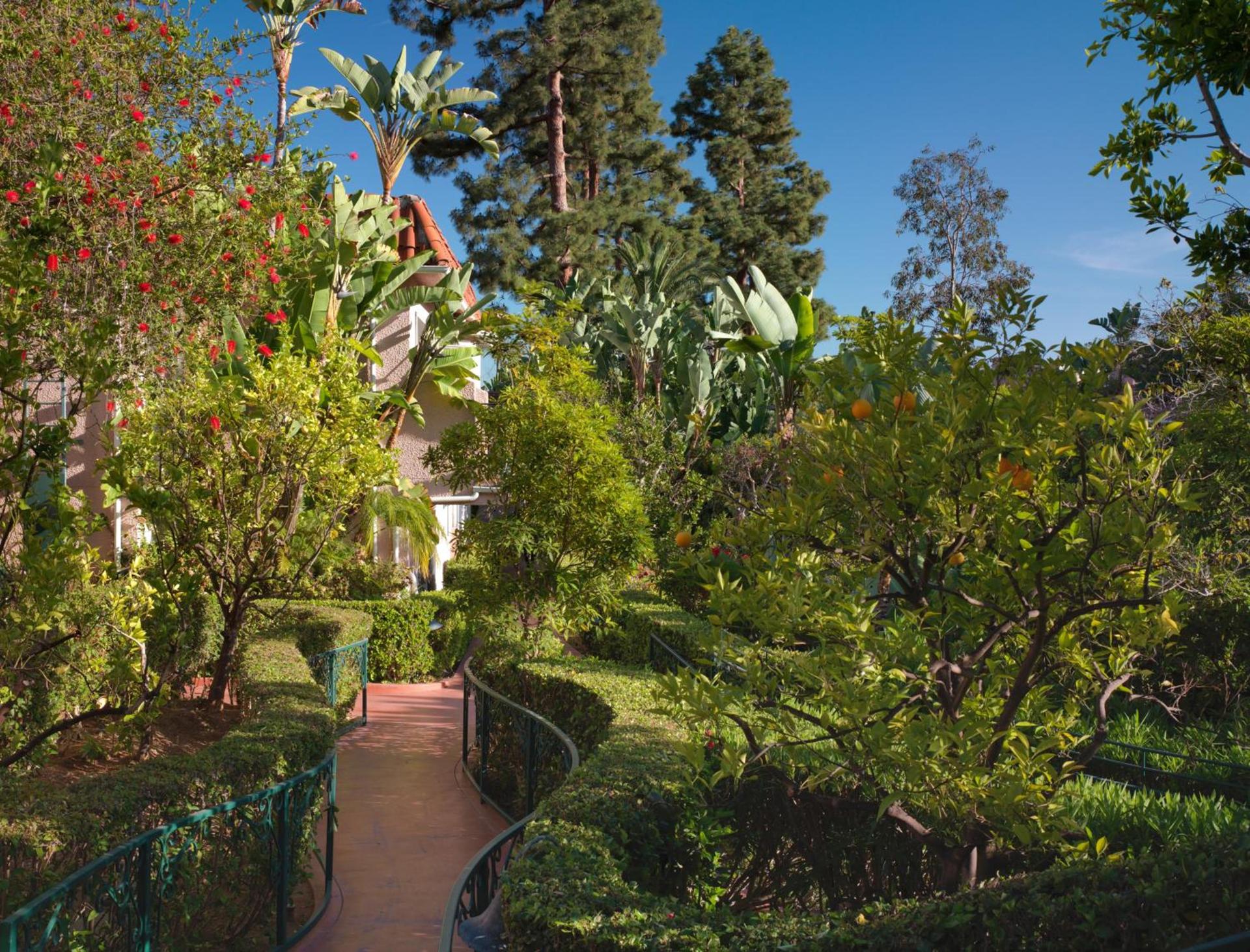 The Beverly Hills Hotel - Dorchester Collection photo 43