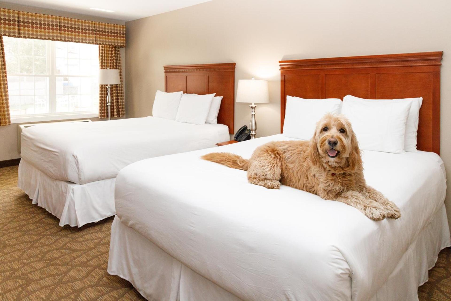 Admiral's Inn Resort photo 62