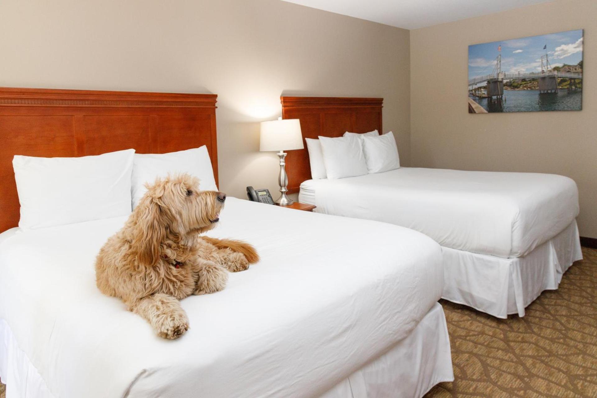 Admiral's Inn Resort photo 61