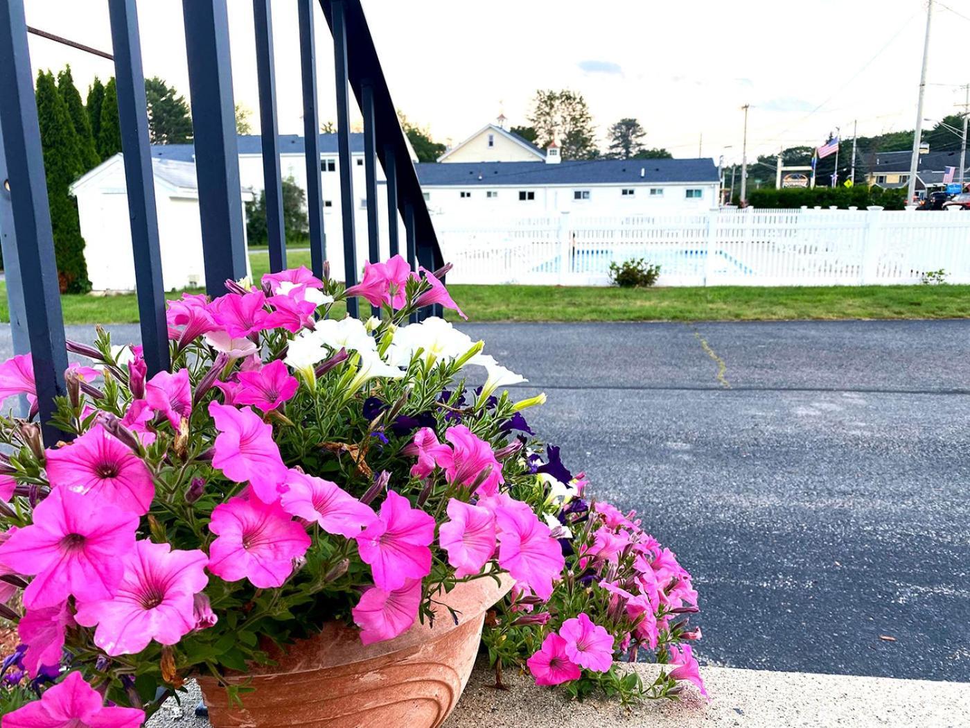 Ocean Acres Ogunquit photo 44