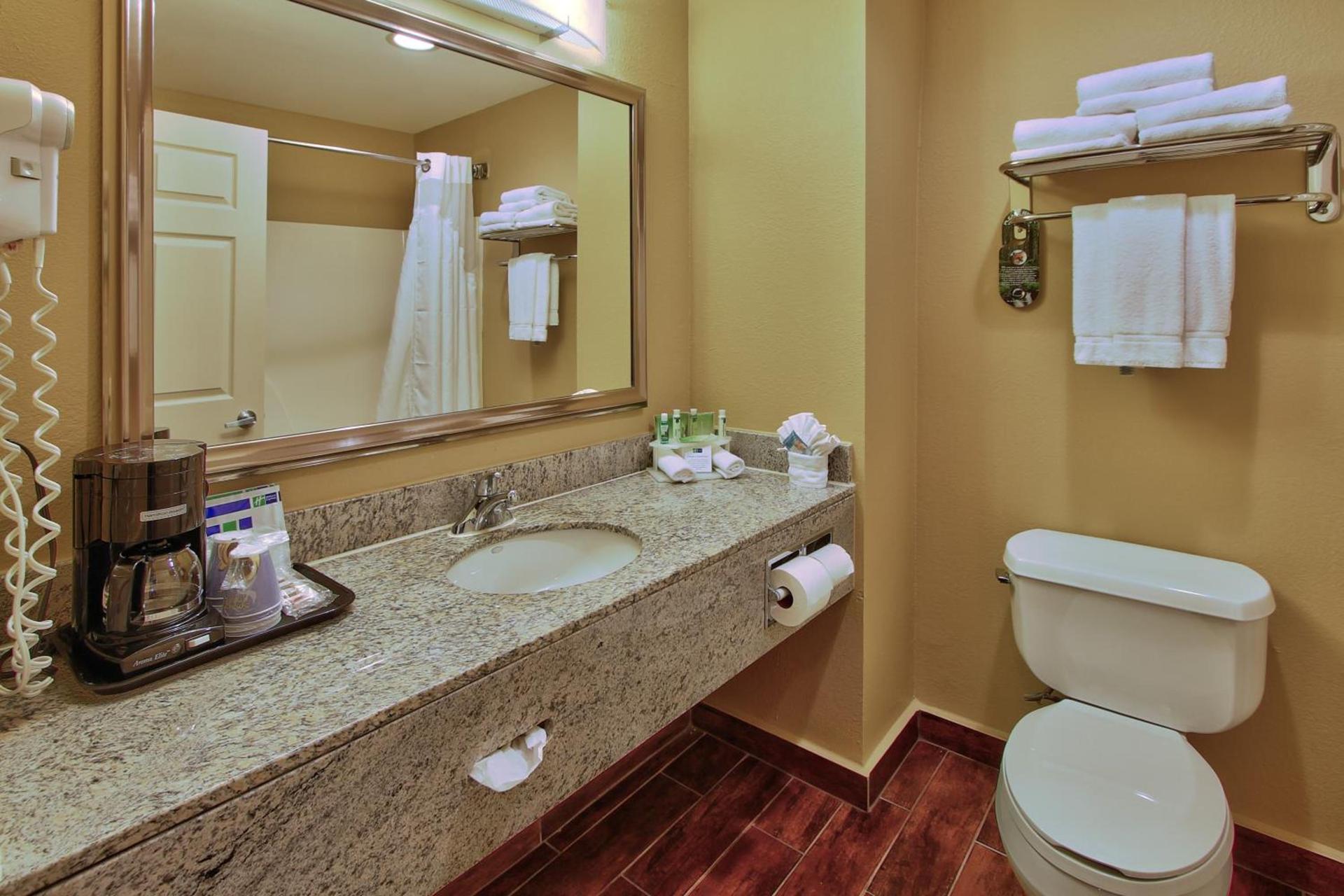 Best Western Premier Houston Downtown/Convention Center Hotel photo 15