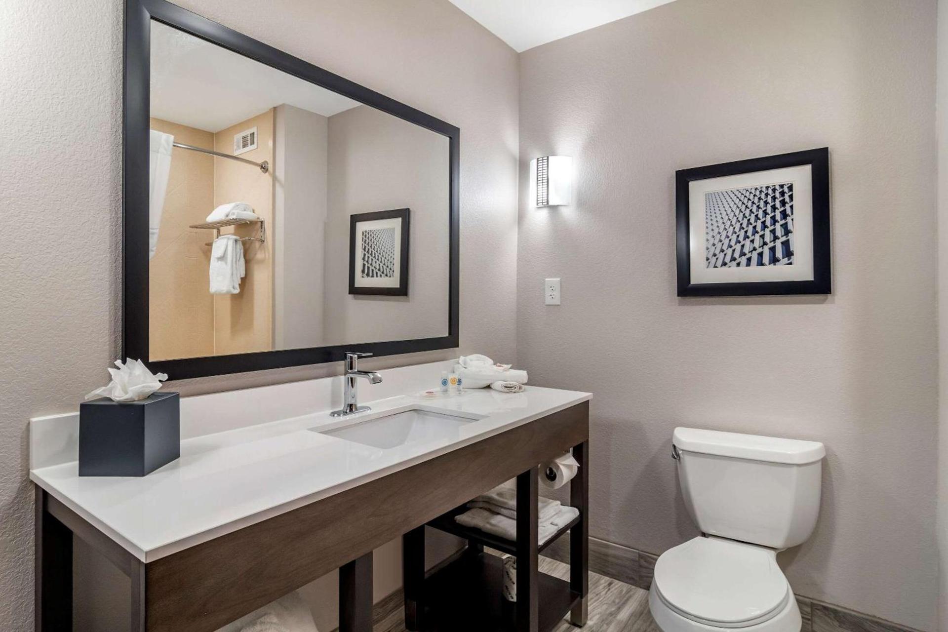 Comfort Suites McDonough Atlanta South photo 19